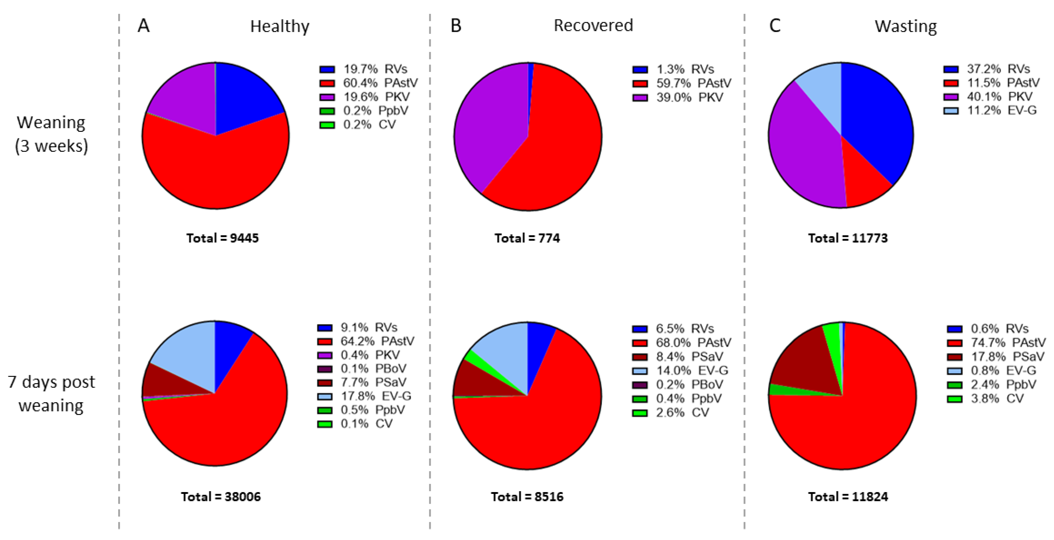 Viruses 13 02538 g005