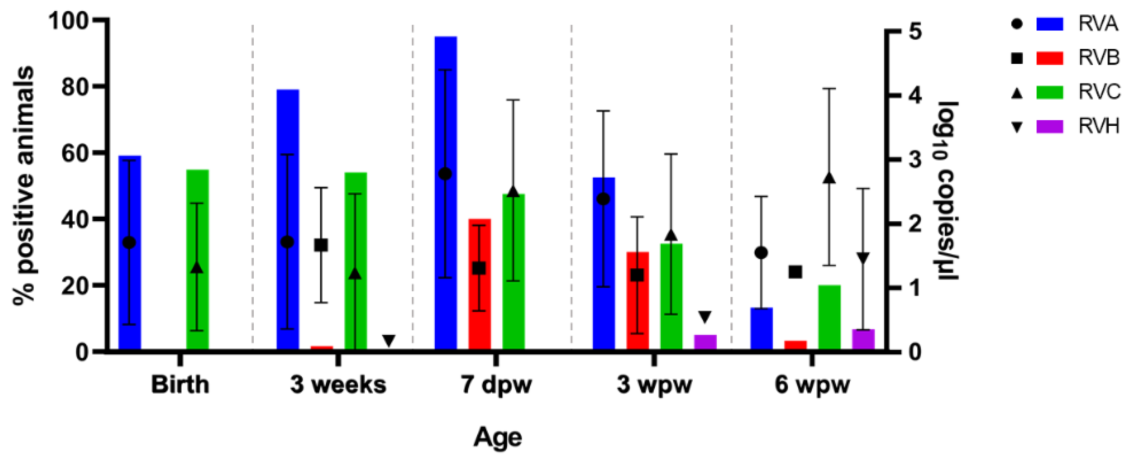 Viruses 13 02538 g006