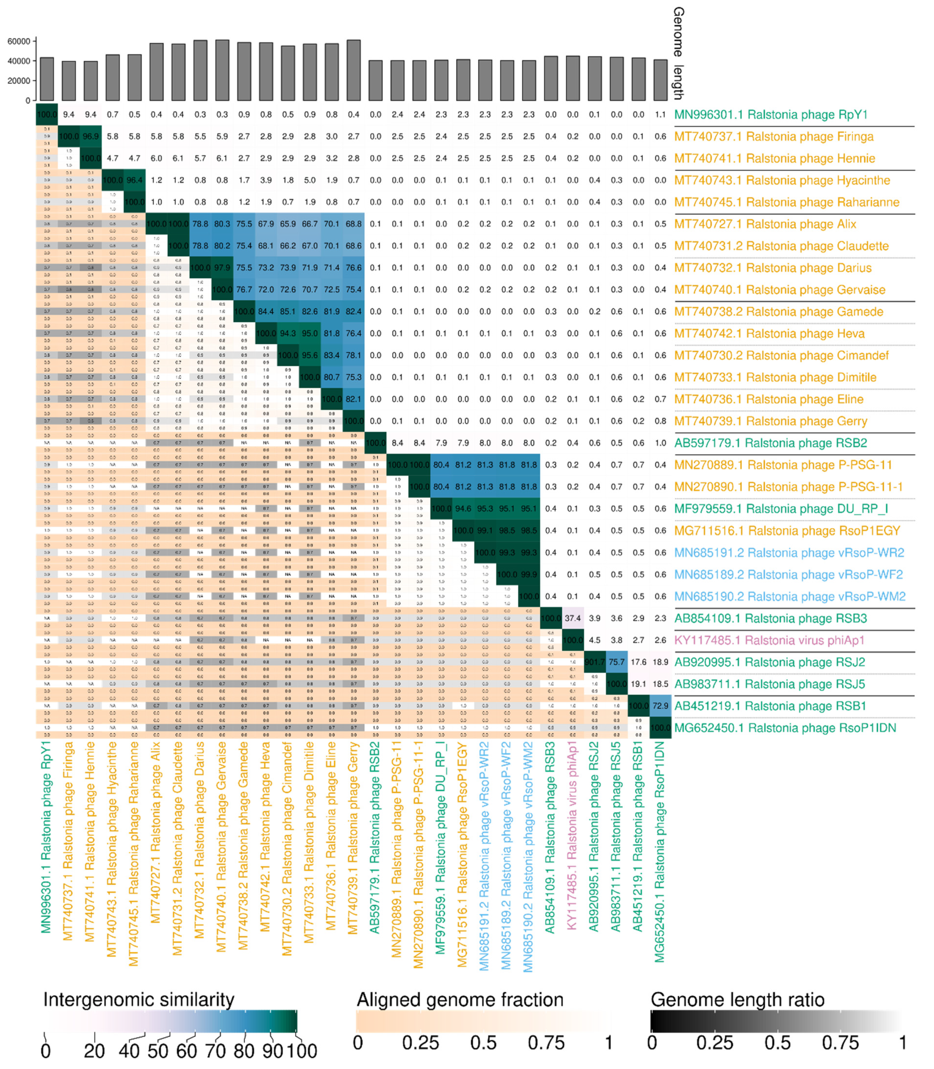 Viruses 13 02539 g005