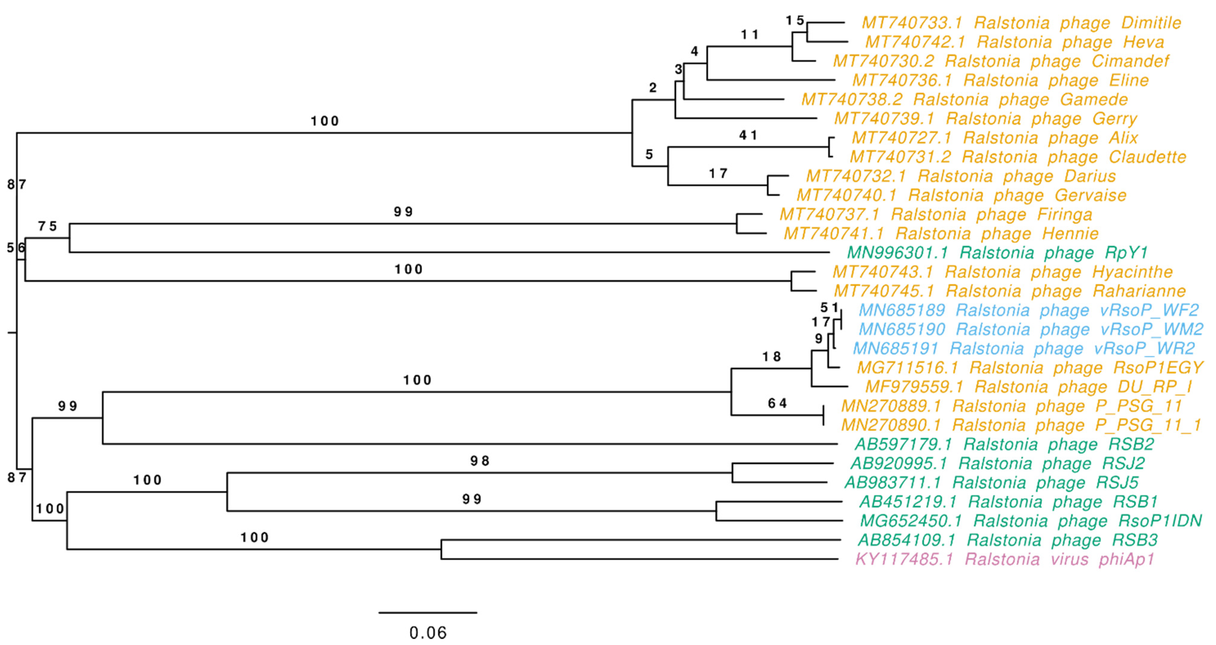 Viruses 13 02539 g006