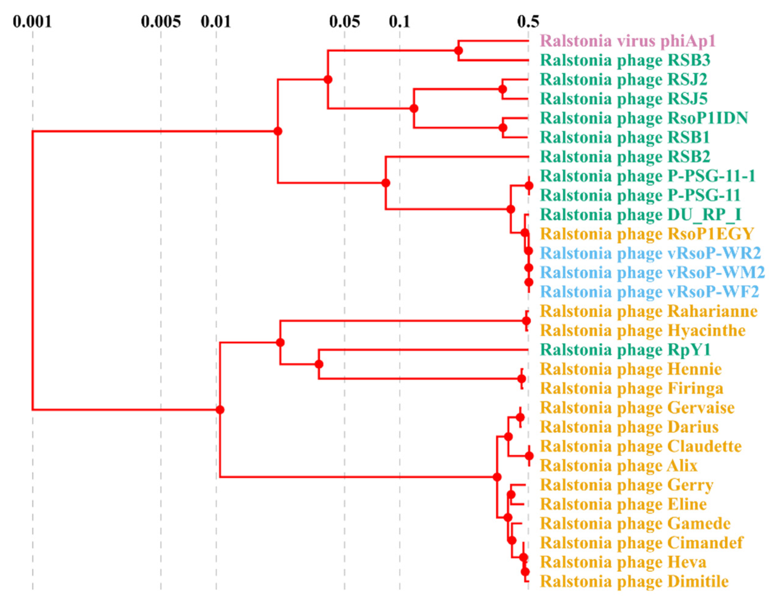 Viruses 13 02539 g007
