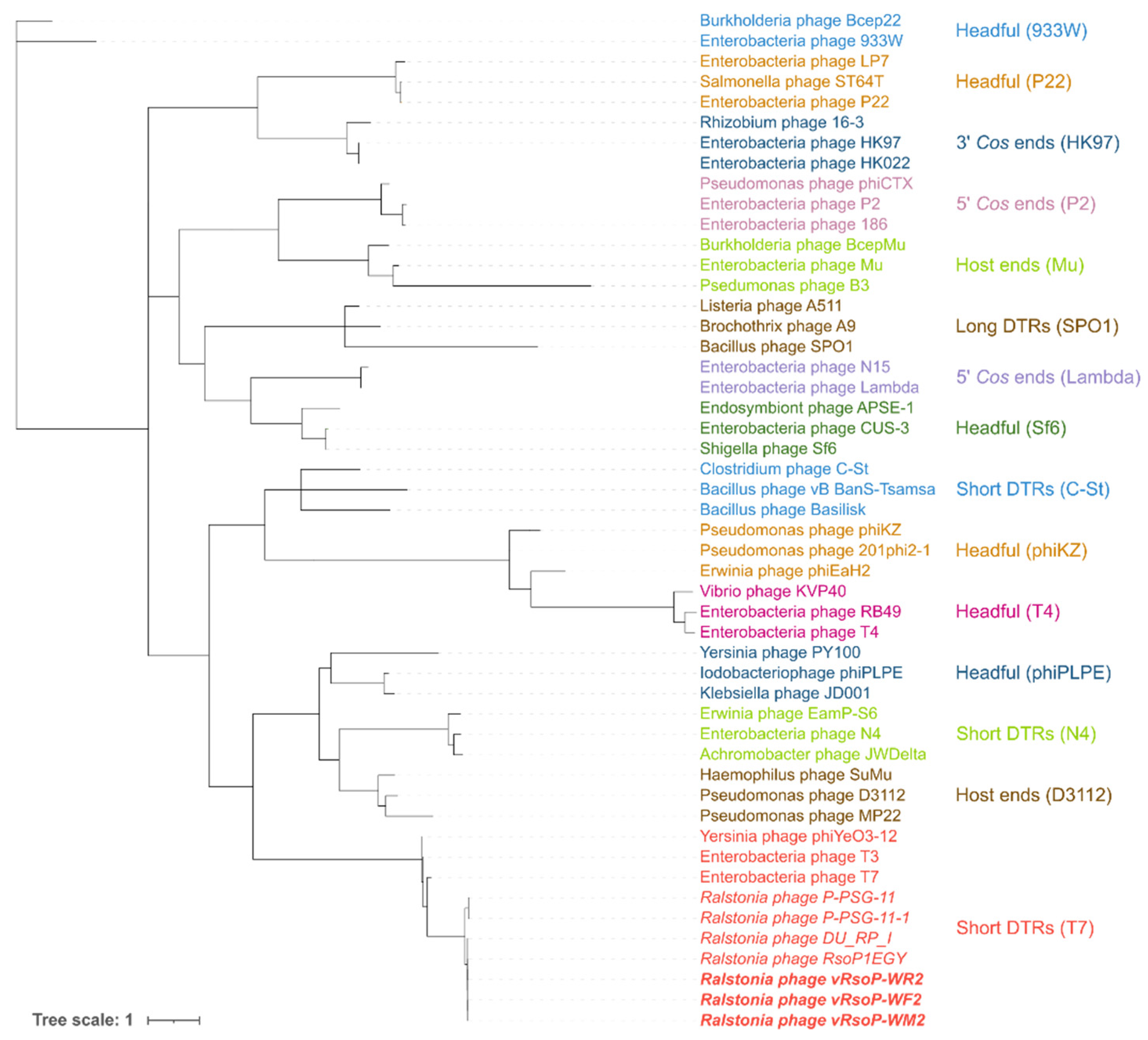 Viruses 13 02539 g008
