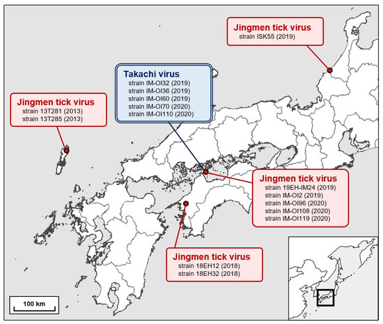 Detection of Jingmenviruses in Japan with Evidence of