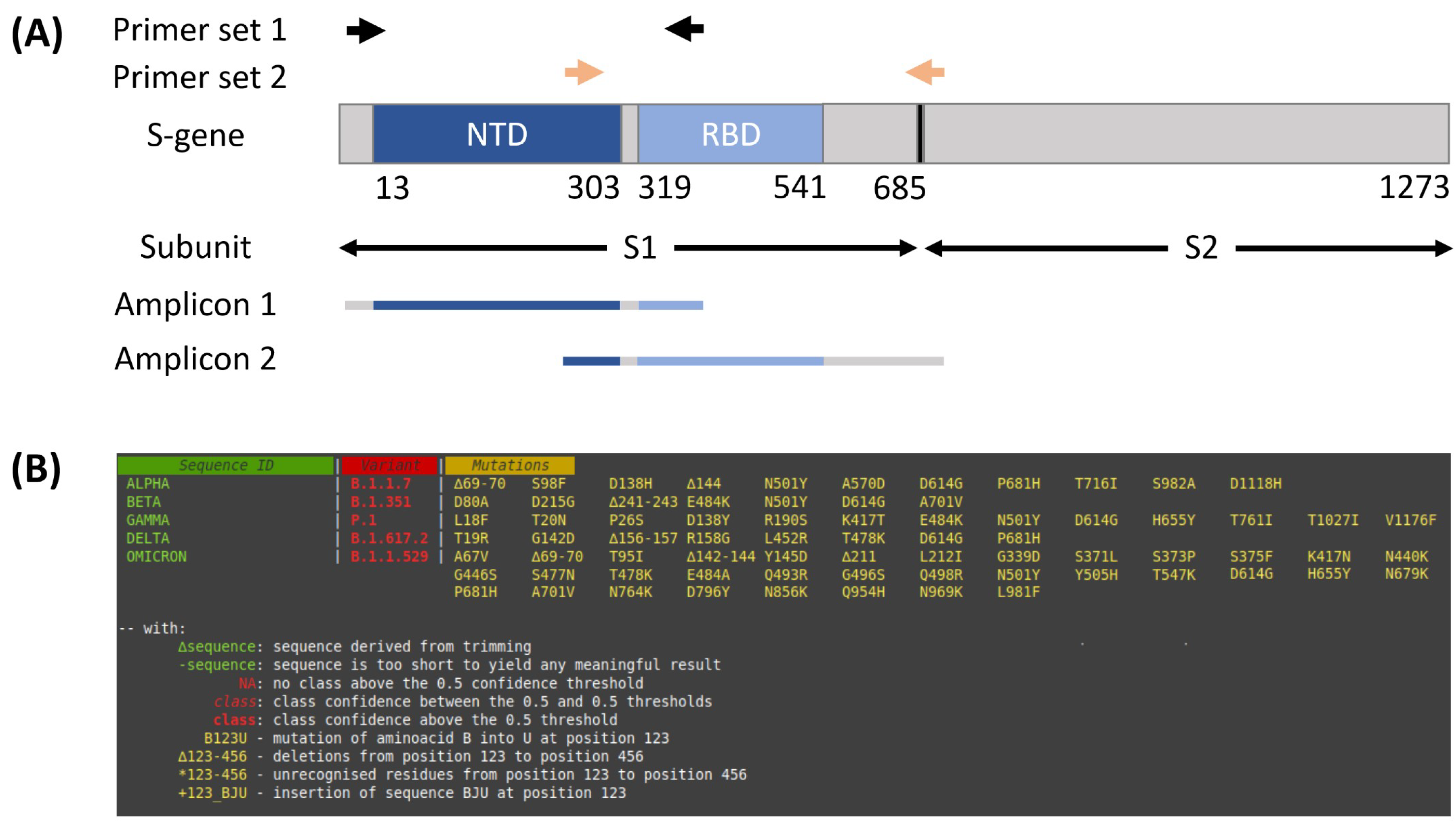 Viruses 13 02548 g001 550