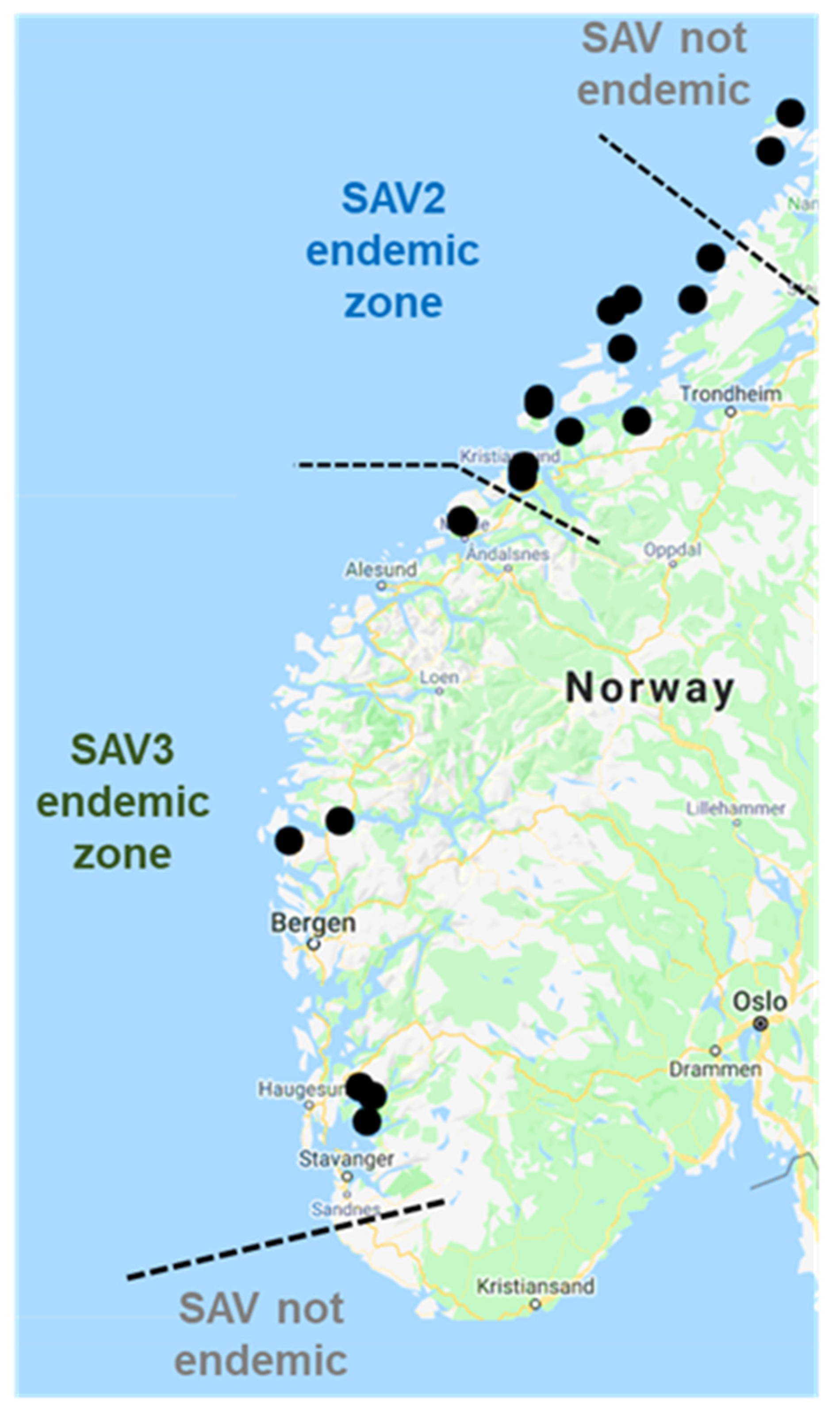 Viruses 13 02549 g001