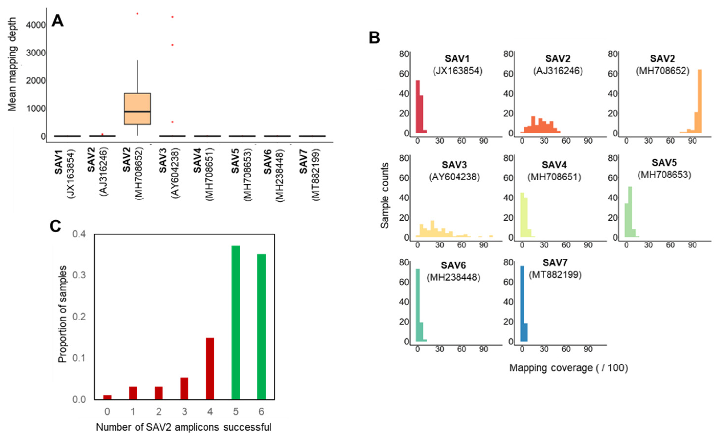 Viruses 13 02549 g003