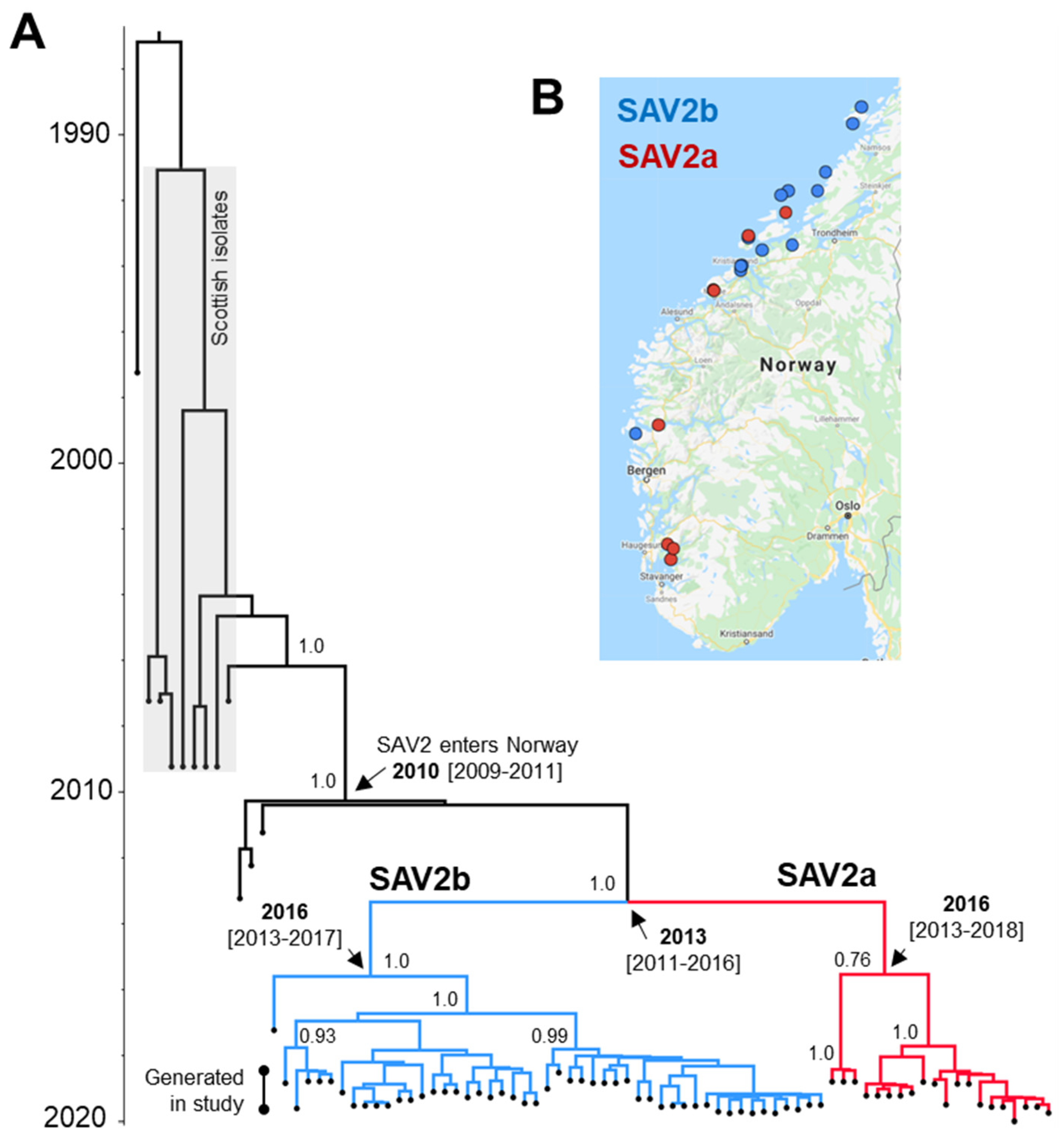 Viruses 13 02549 g004