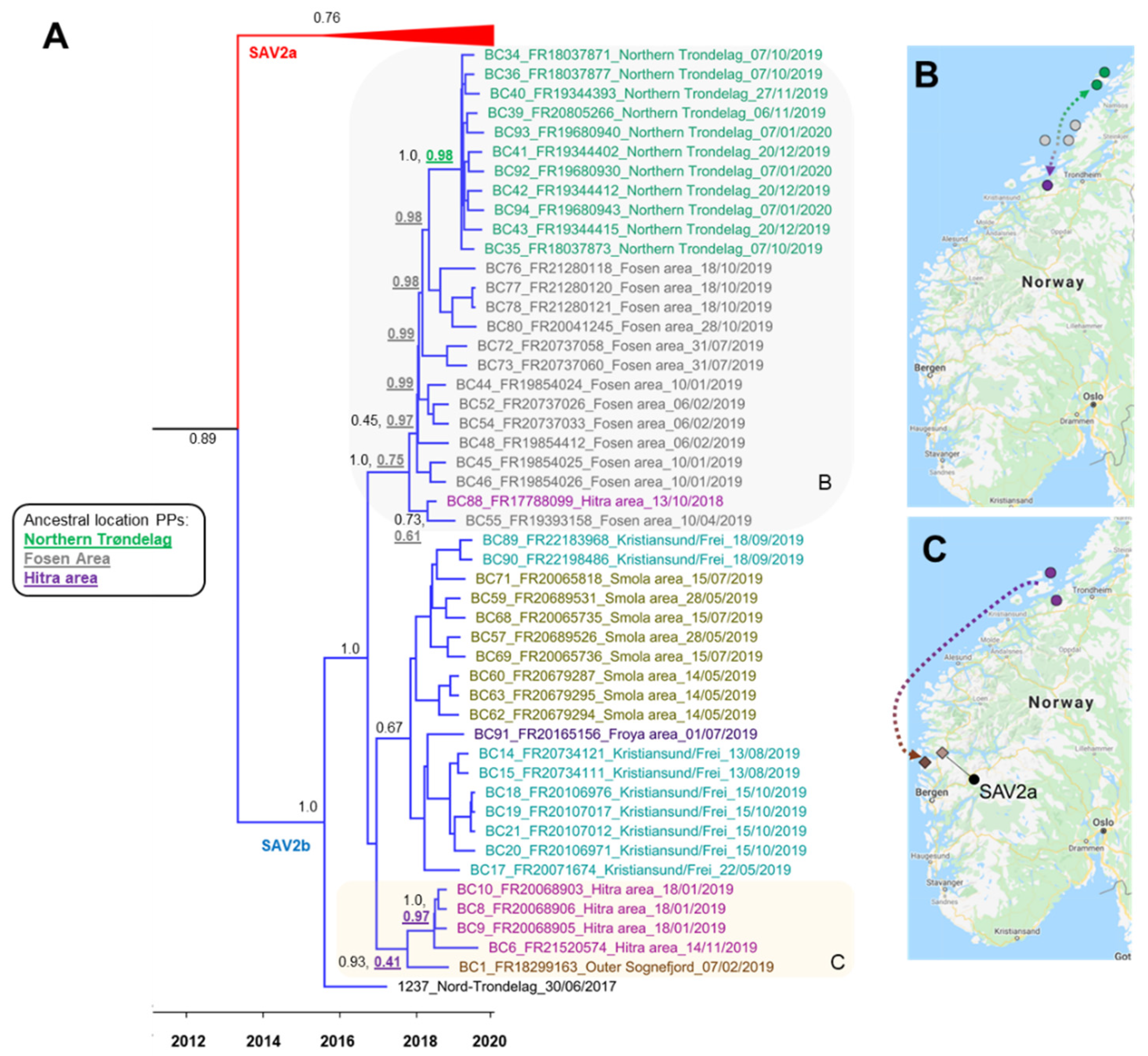 Viruses 13 02549 g006