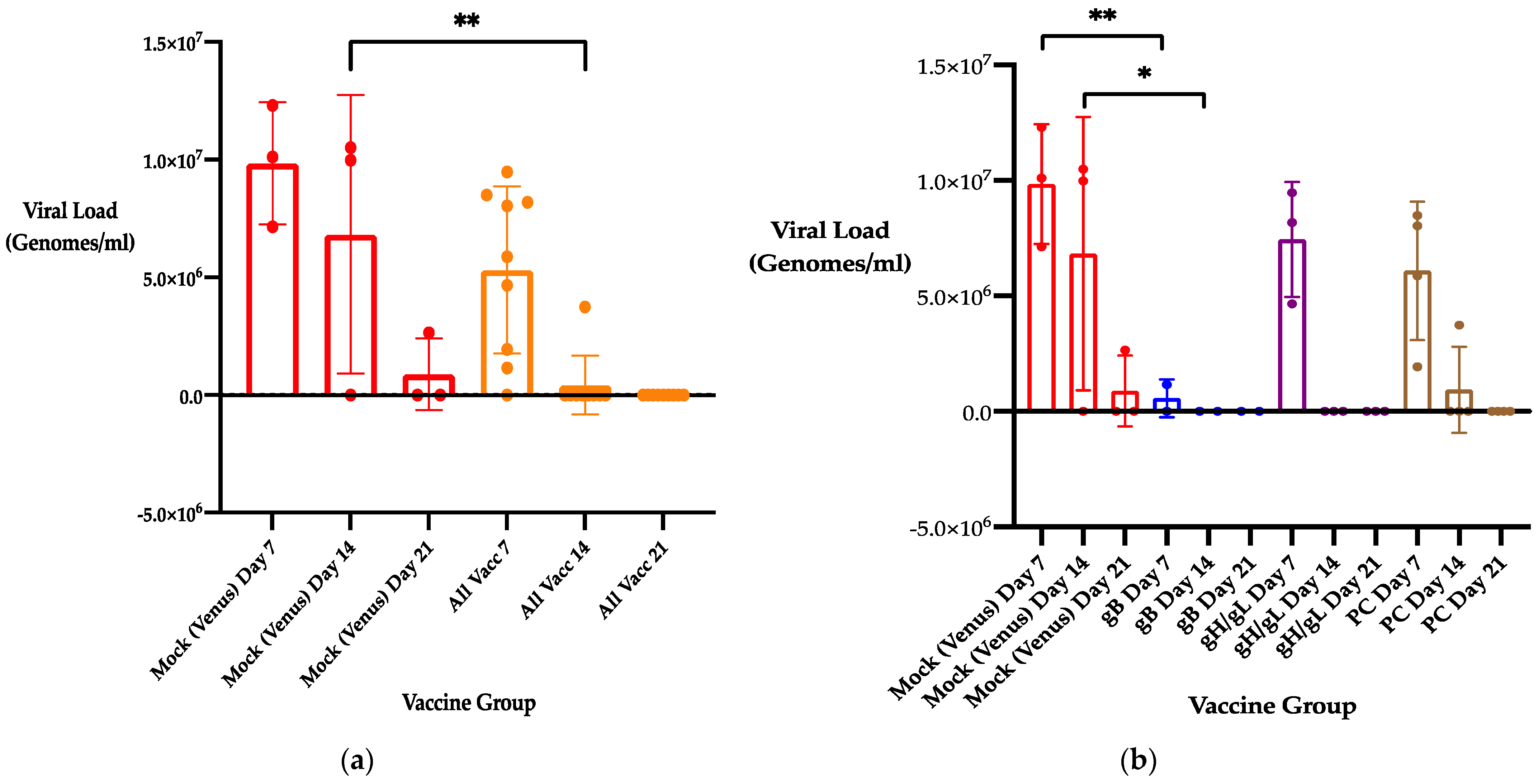Viruses 13 02551 g001