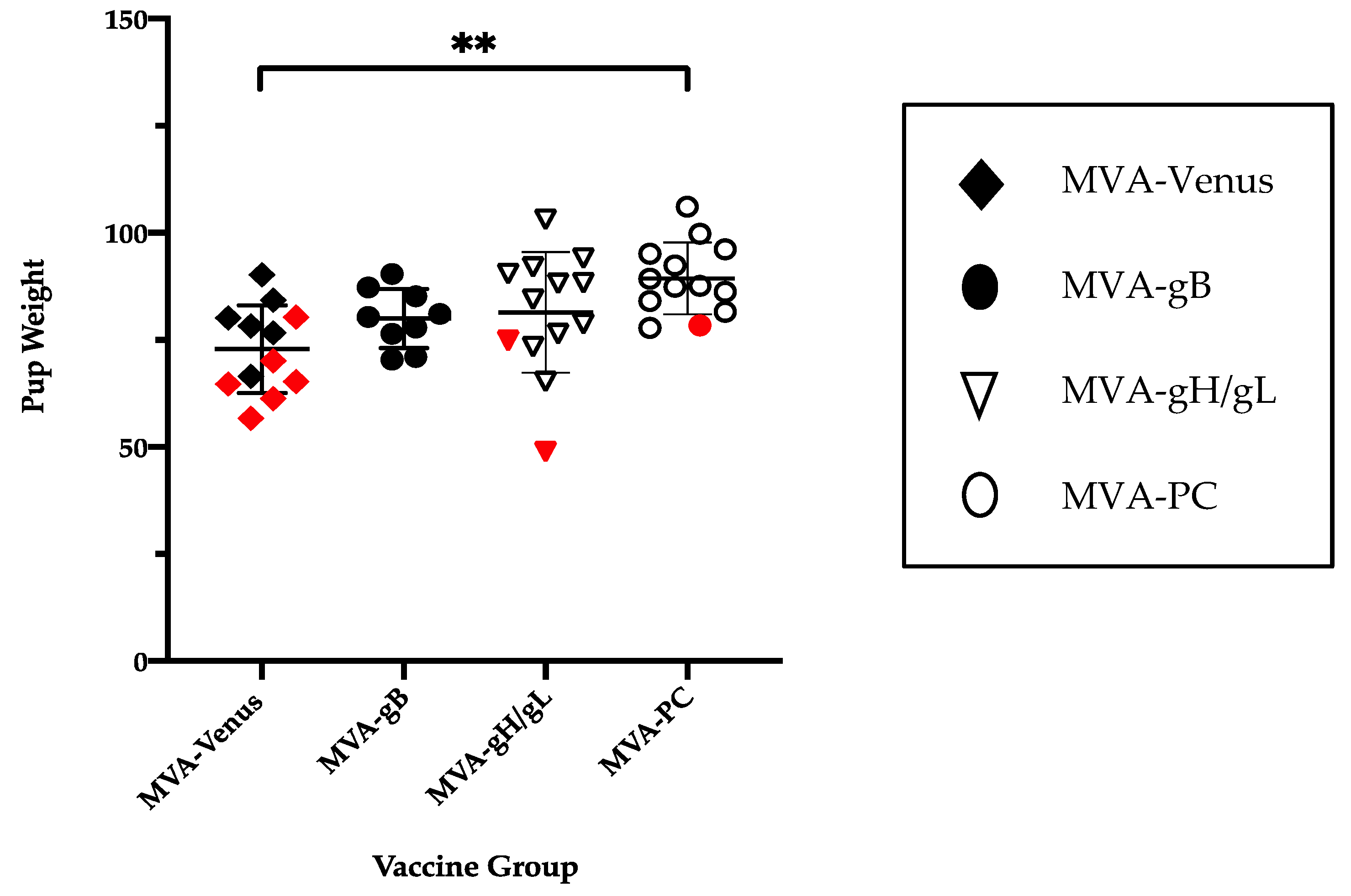 Viruses 13 02551 g002