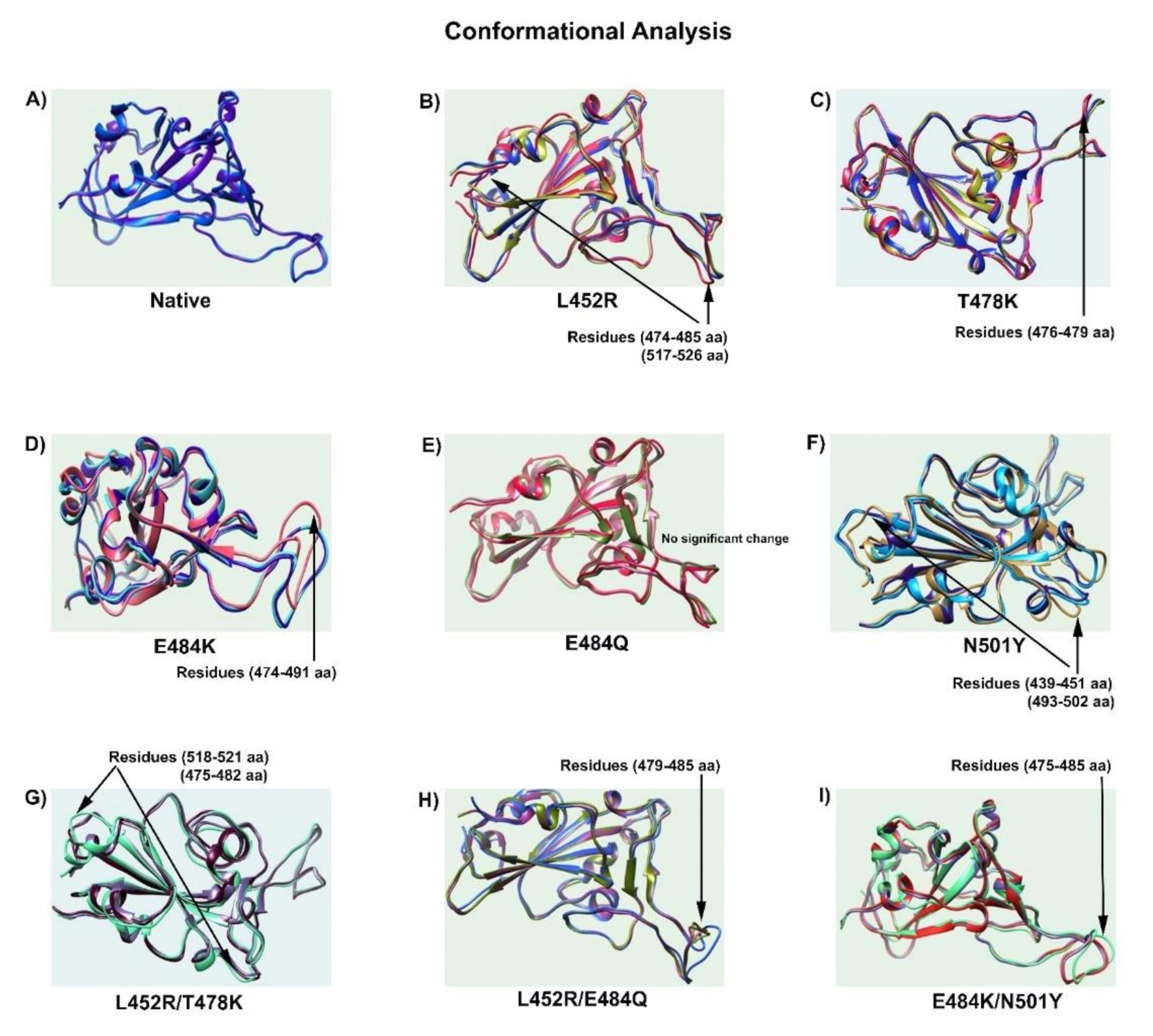 Viruses 14 00001 g003