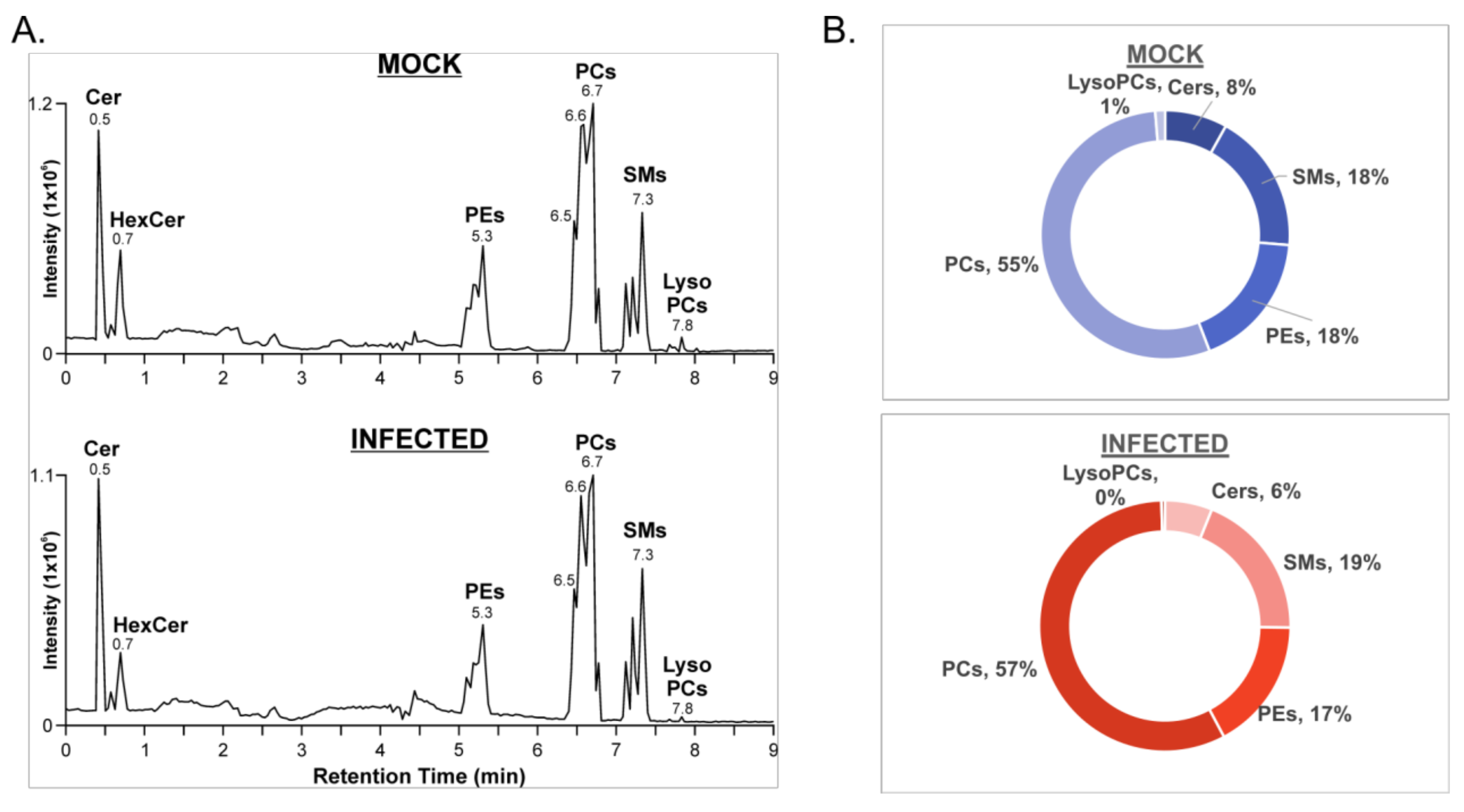 Viruses 14 00003 g002 Viruses 14 00003 g002