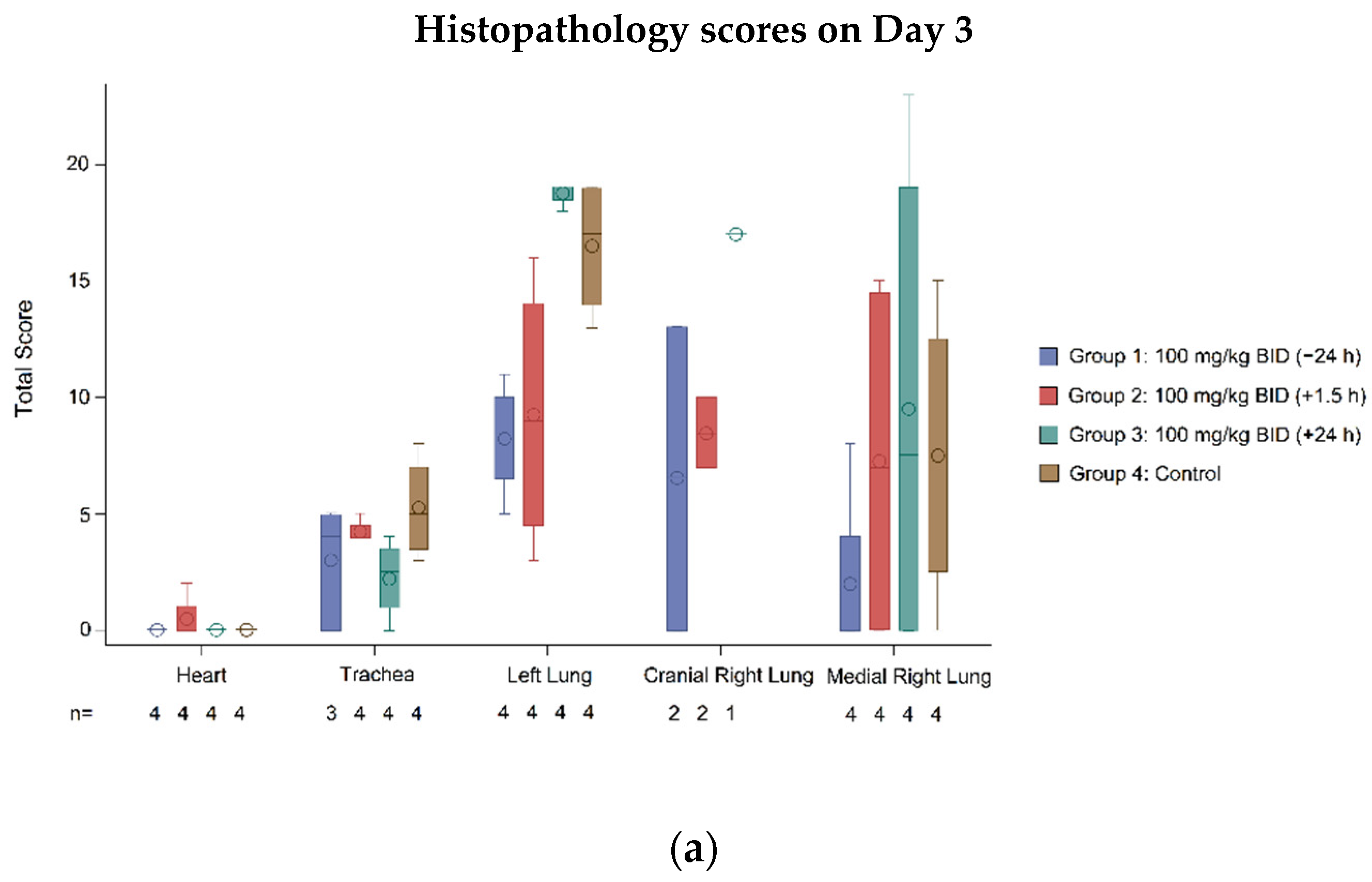 Viruses 14 00008 g005a Viruses 14 00008 g005a