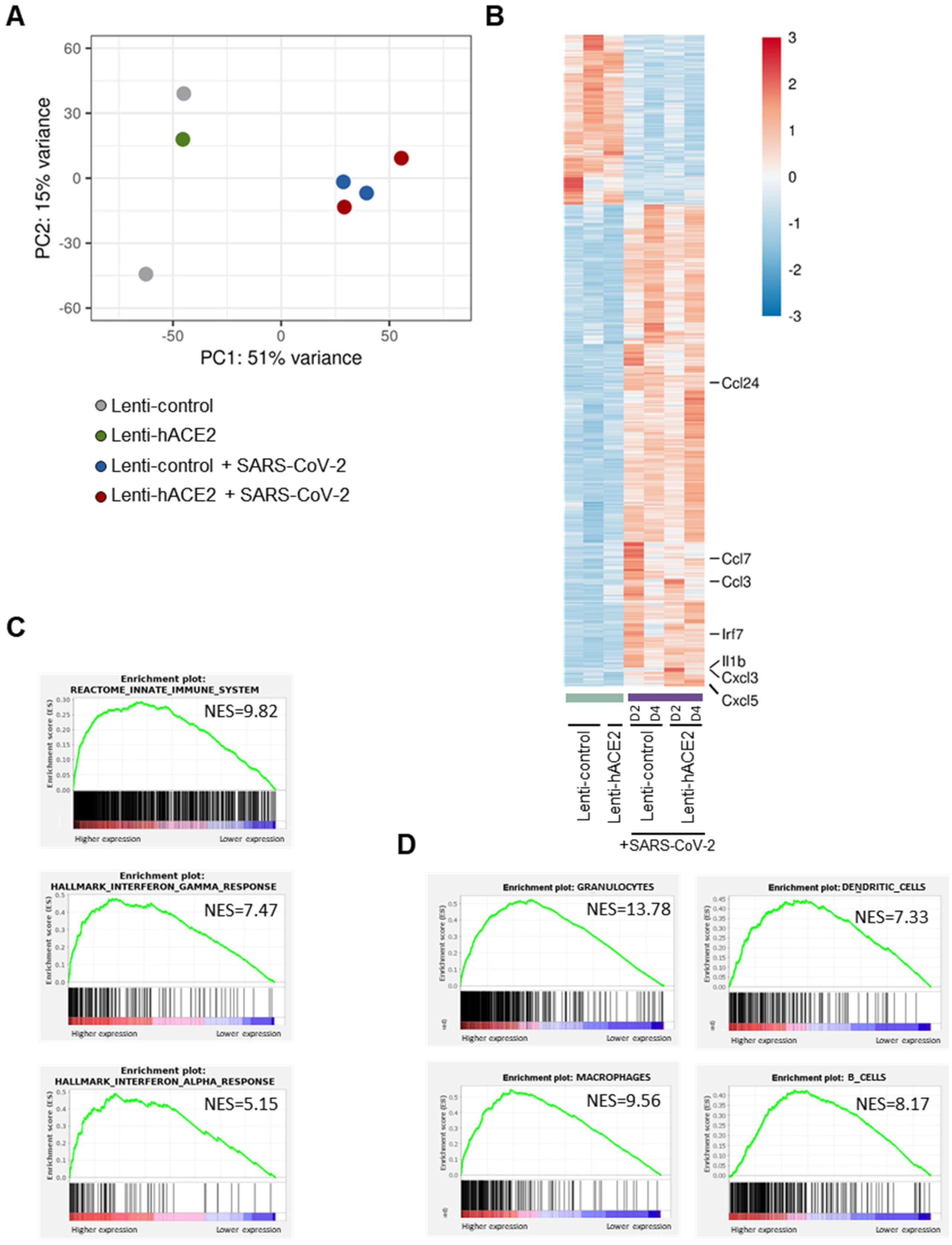 Viruses 14 00011 g003 Viruses 14 00011 g003