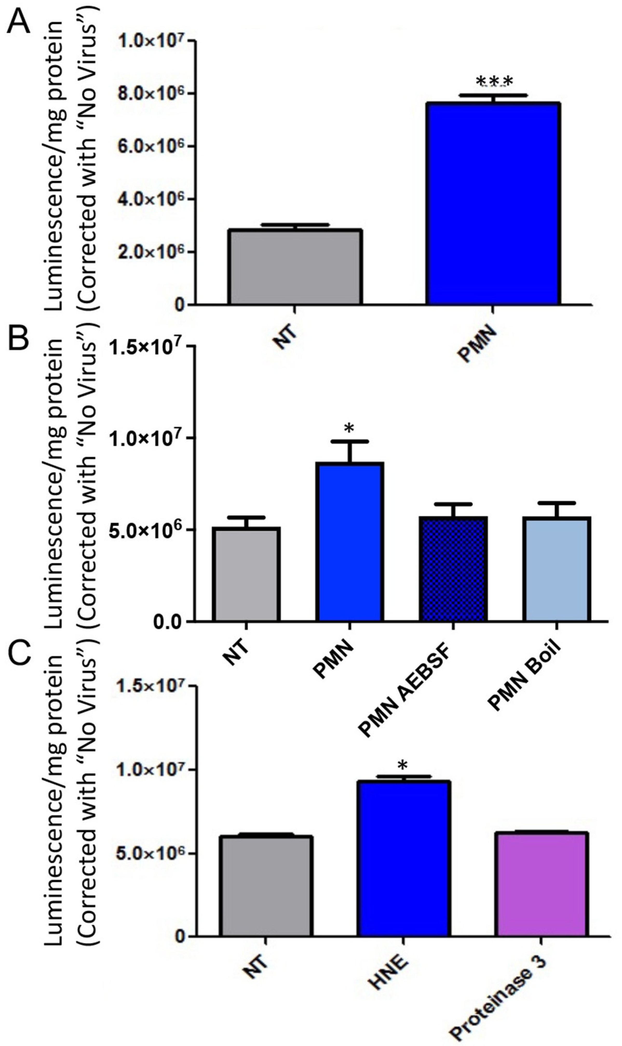 Viruses 14 00013 g001