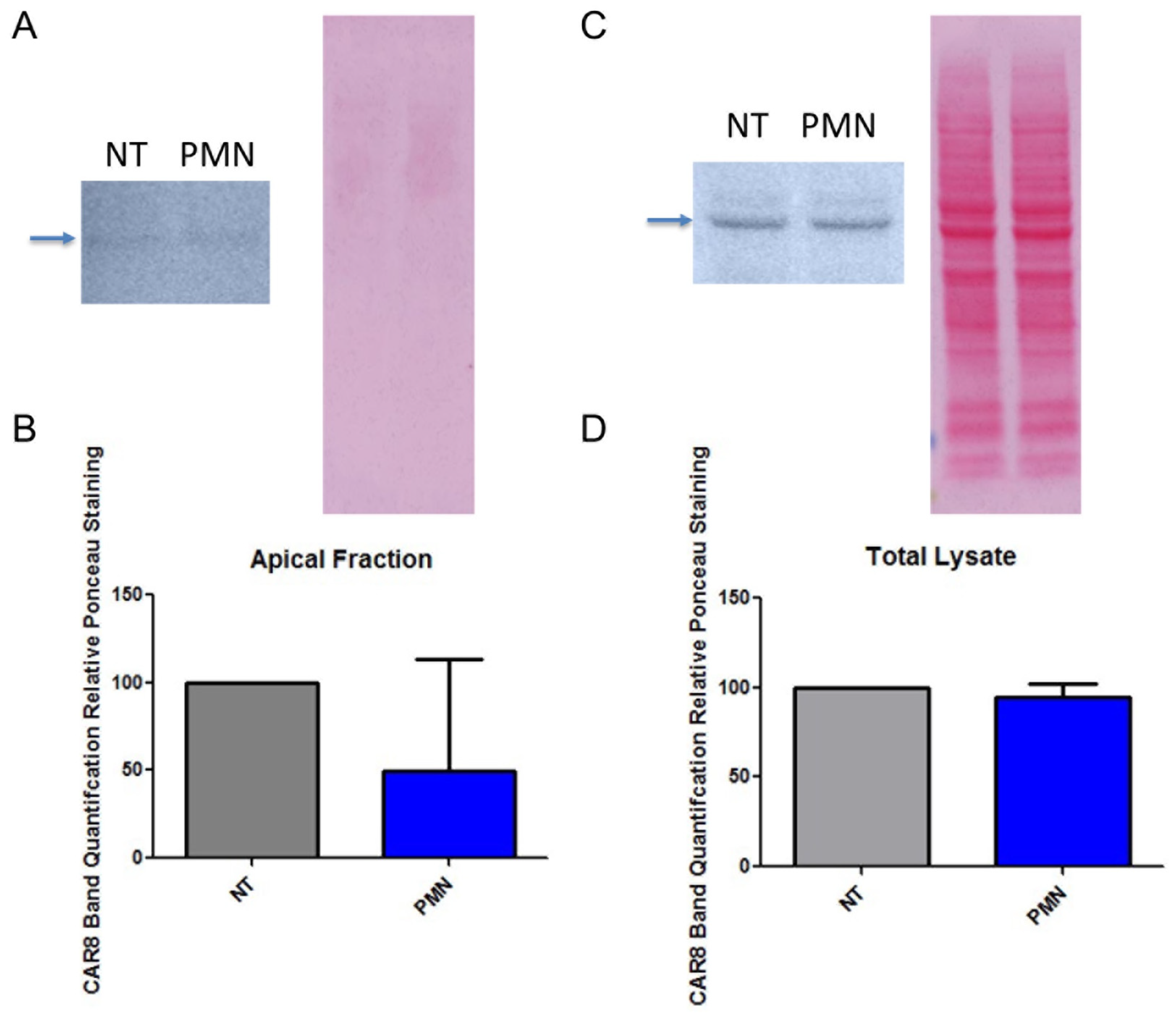 Viruses 14 00013 g002