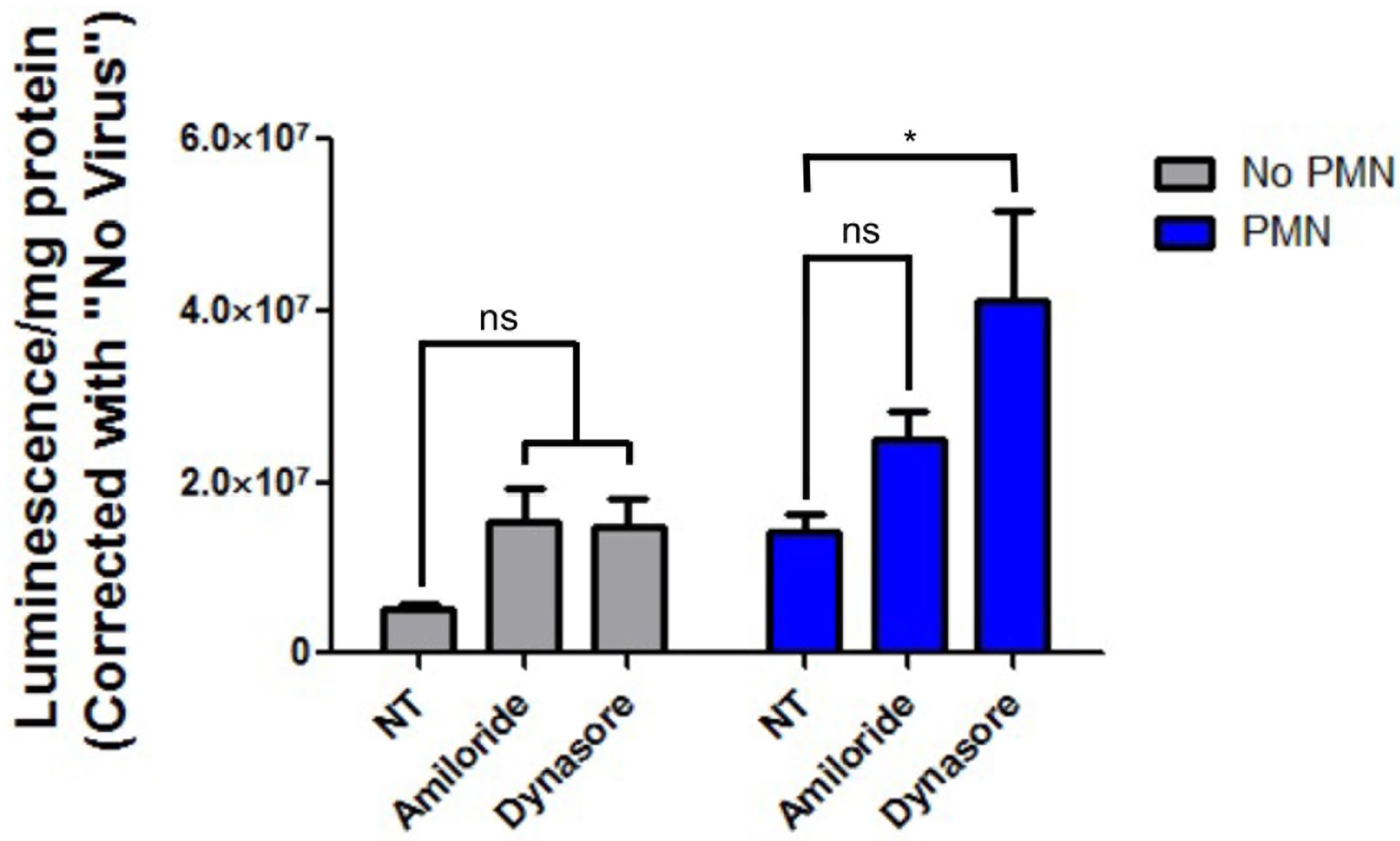 Viruses 14 00013 g003