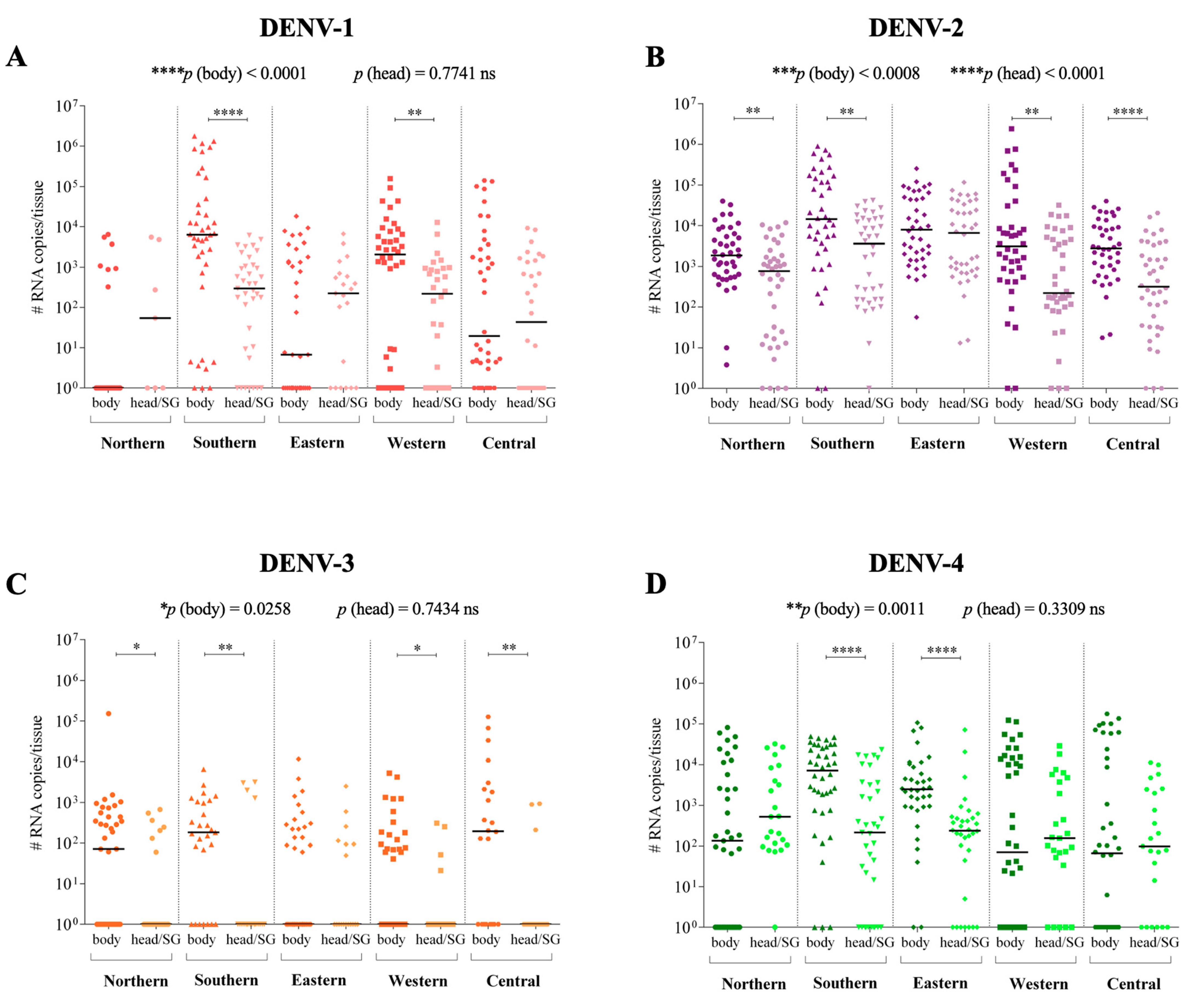 Viruses 14 00020 g003