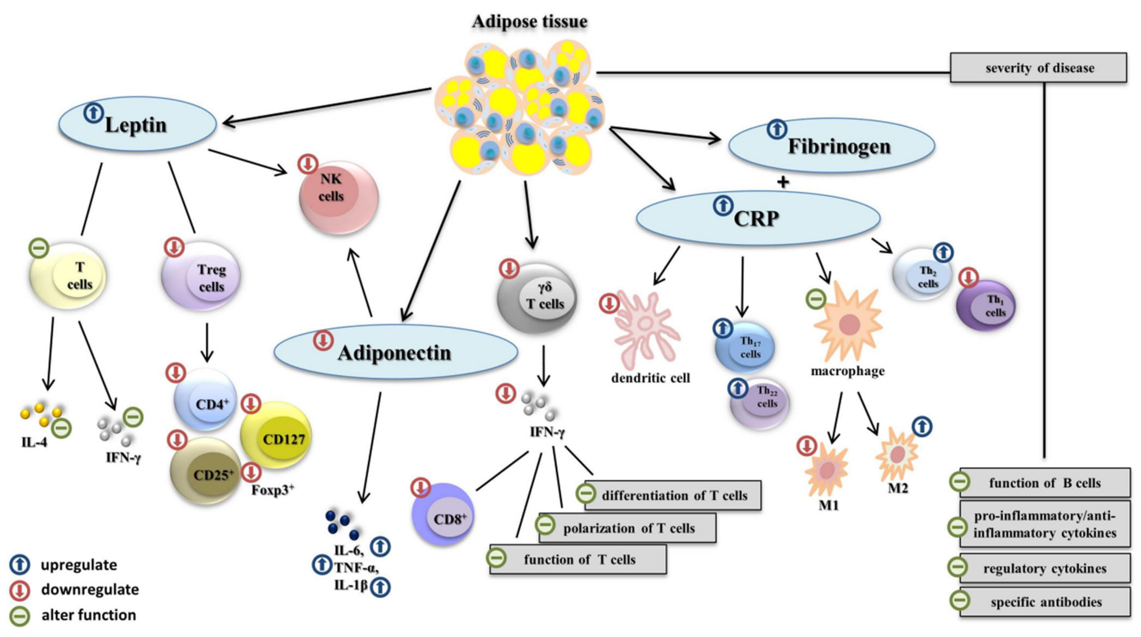 Viruses 14 00025 g001