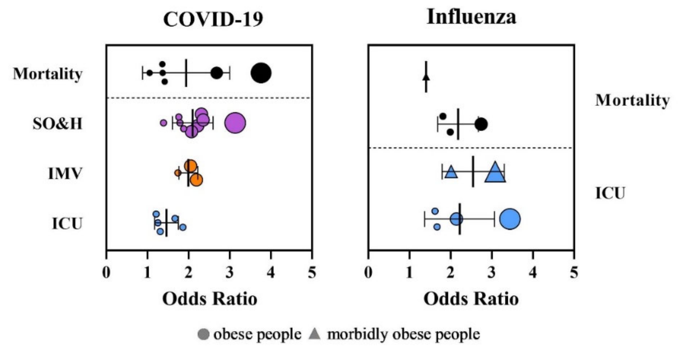 Viruses 14 00025 g002