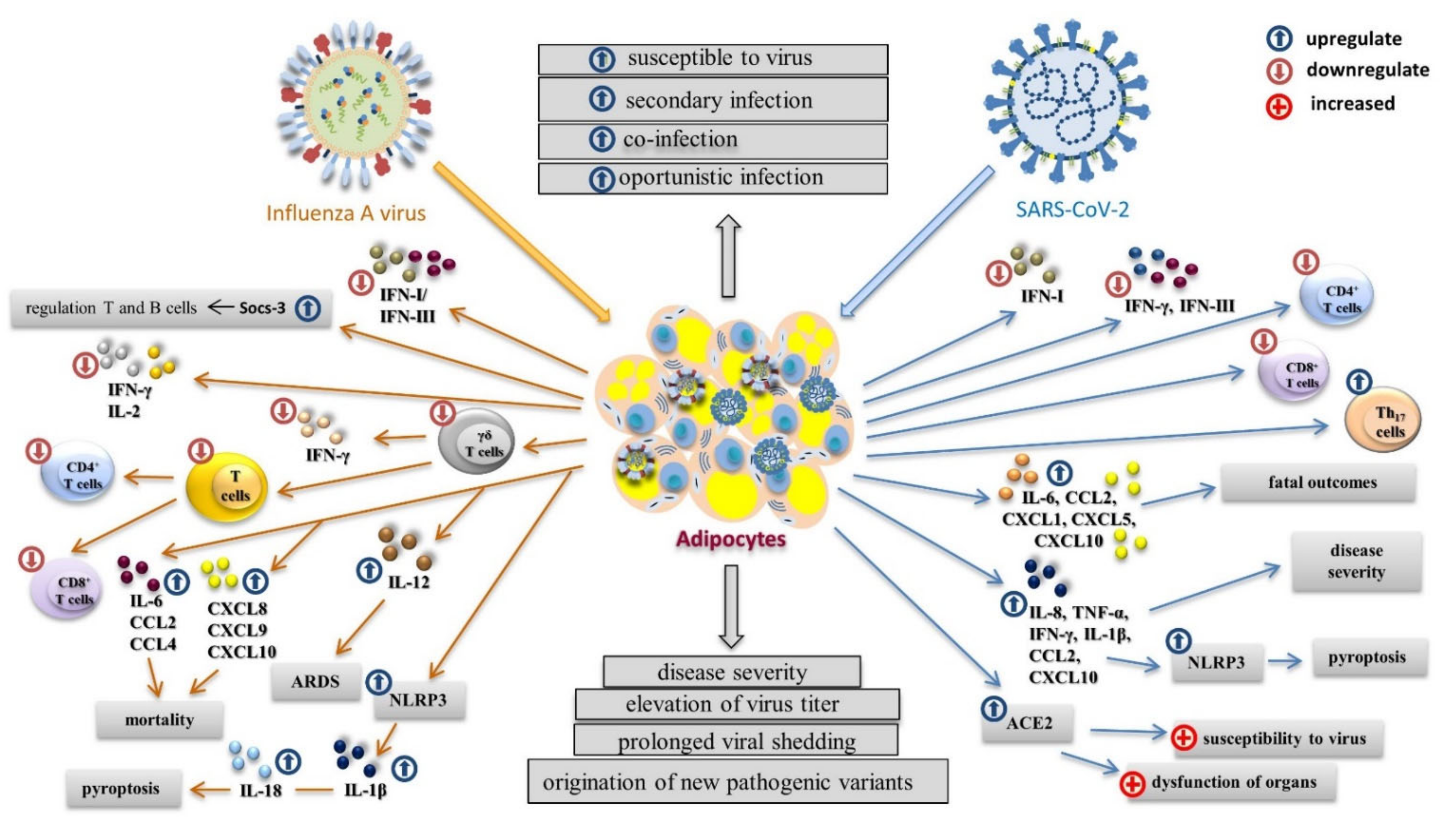 Viruses 14 00025 g003