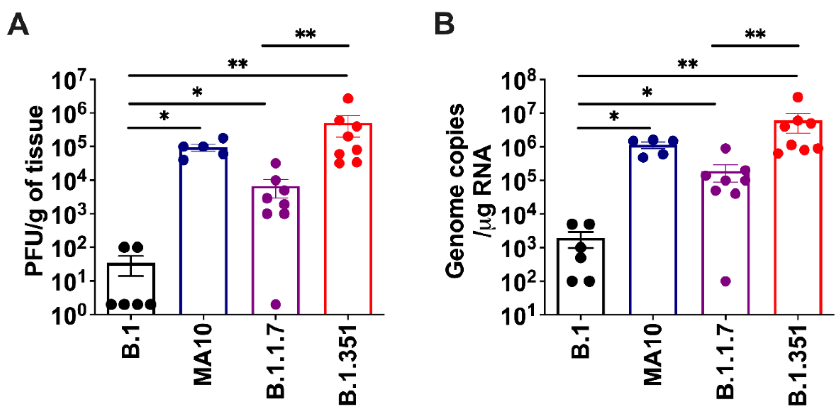Viruses 14 00027 g002