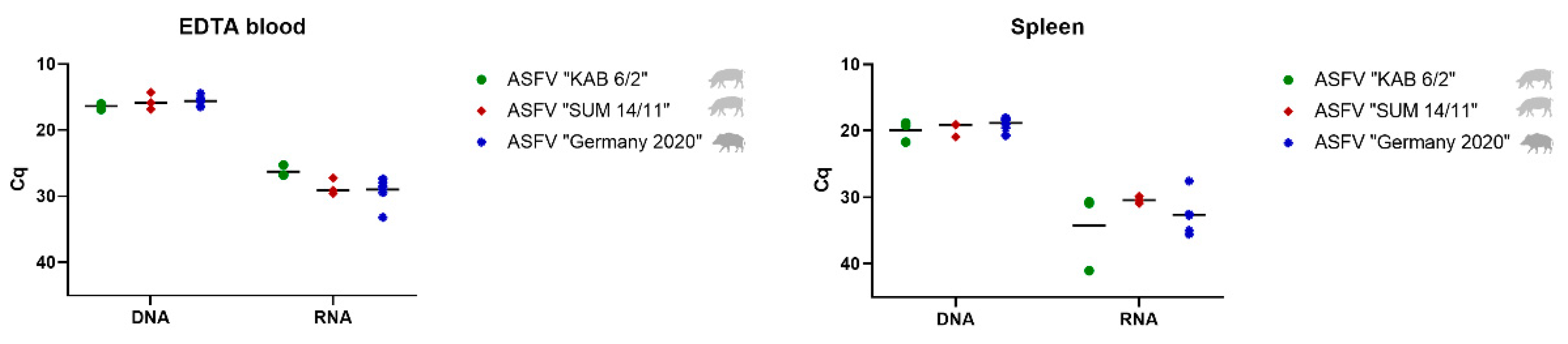 Viruses 14 00031 g001 Viruses 14 00031 g001
