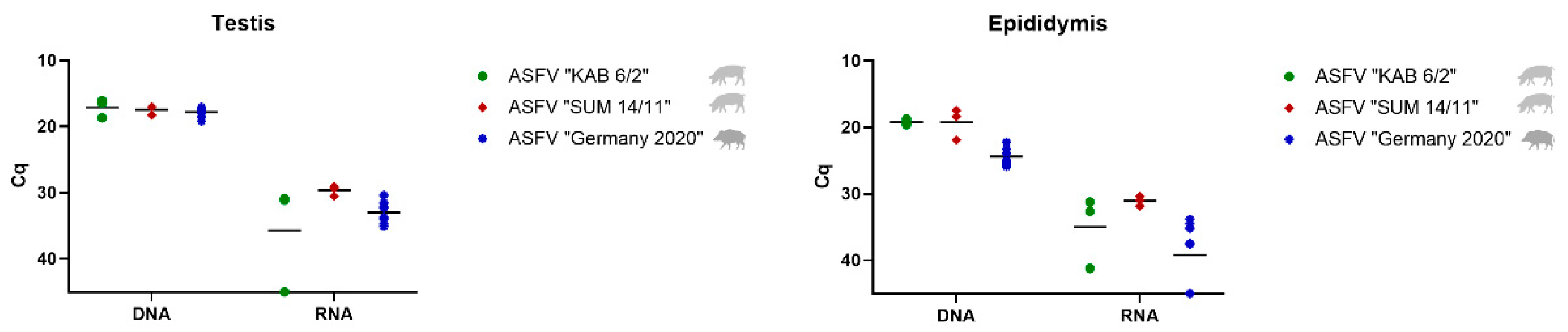 Viruses 14 00031 g002 Viruses 14 00031 g002