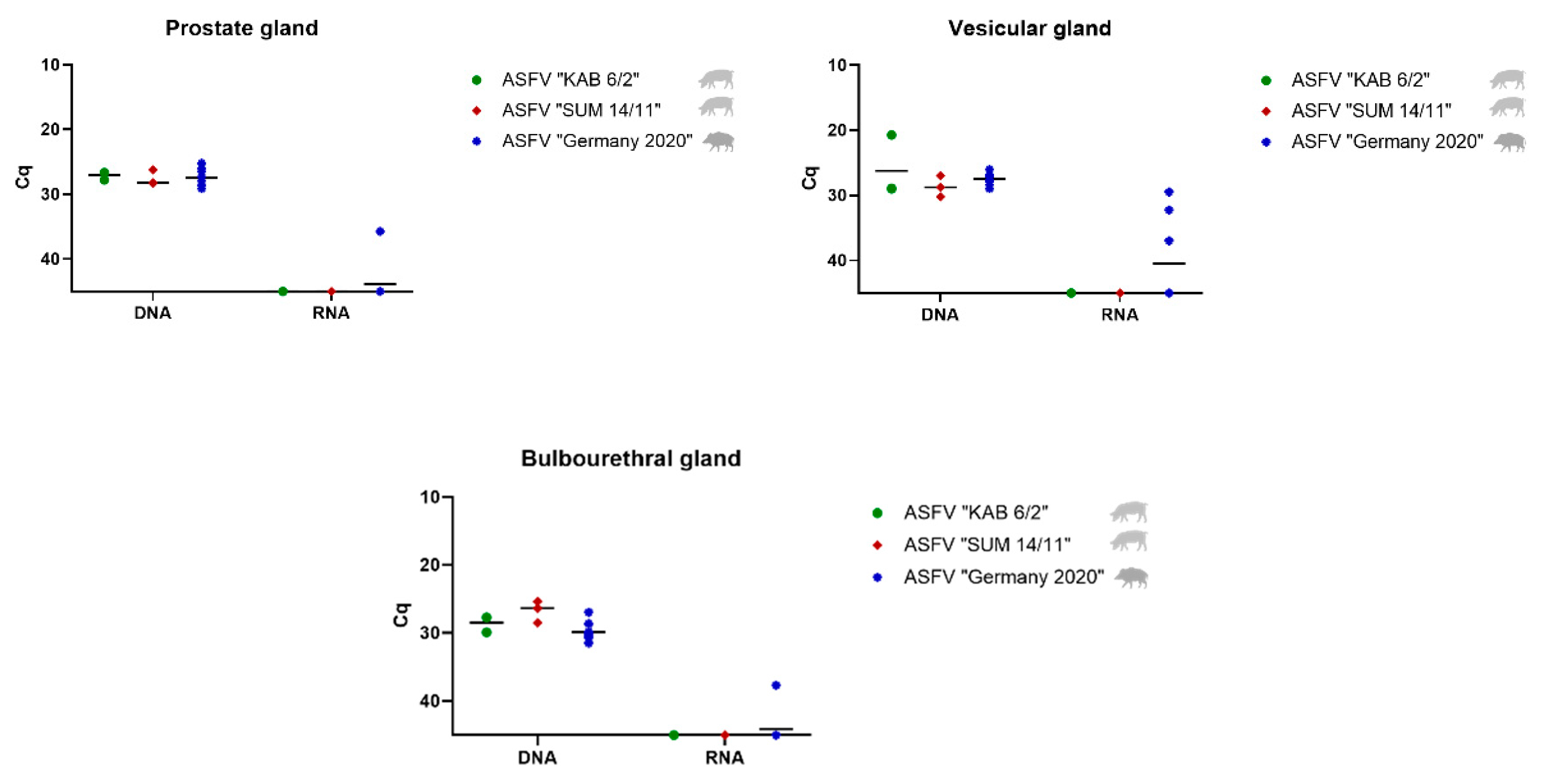 Viruses 14 00031 g003 Viruses 14 00031 g003