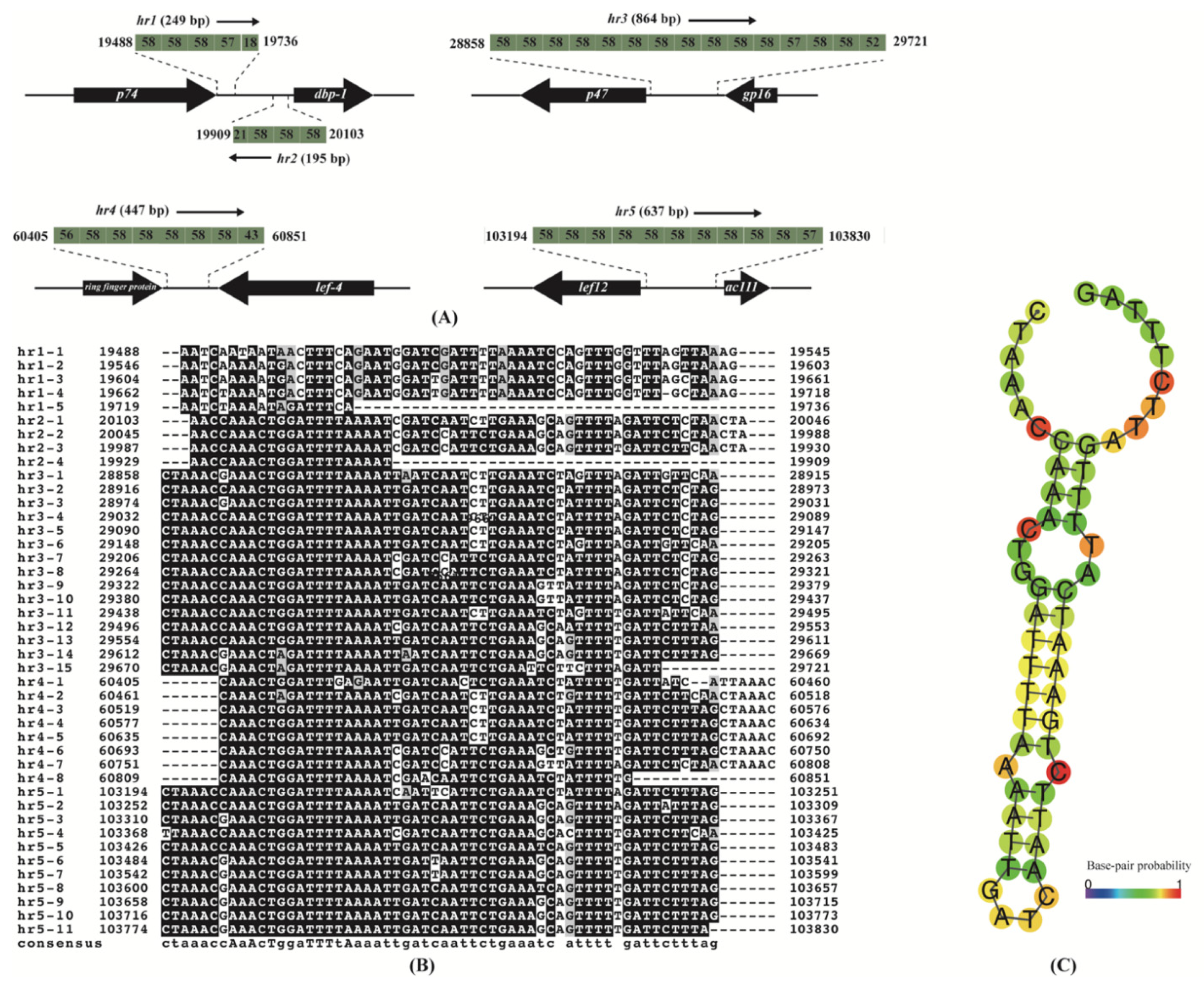 Viruses 14 00034 g003