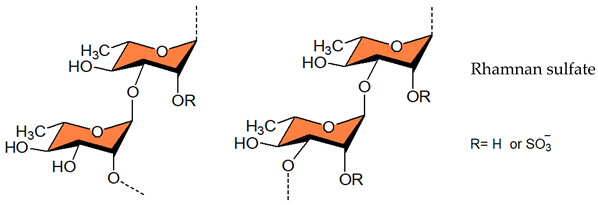 Viruses 14 00035 i004 Viruses 14 00035 i004