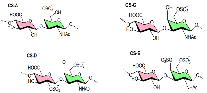 Viruses 14 00035 i008 Viruses 14 00035 i008