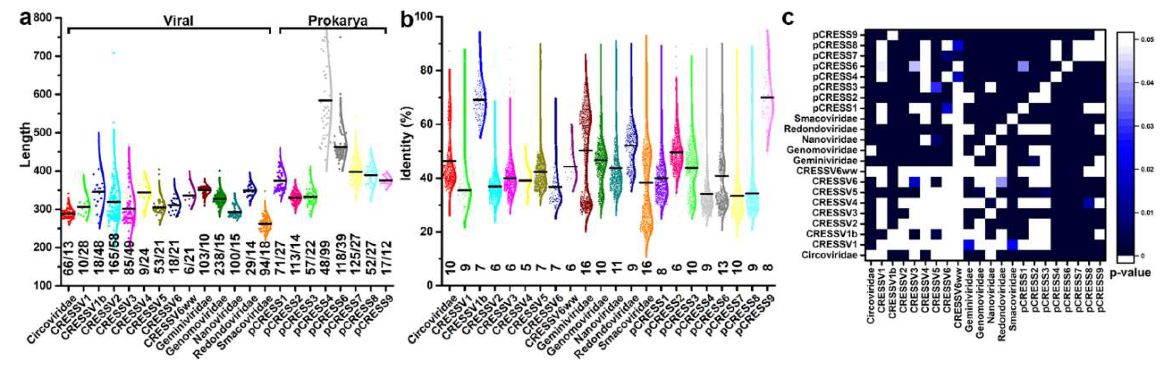 Viruses 14 00037 g001