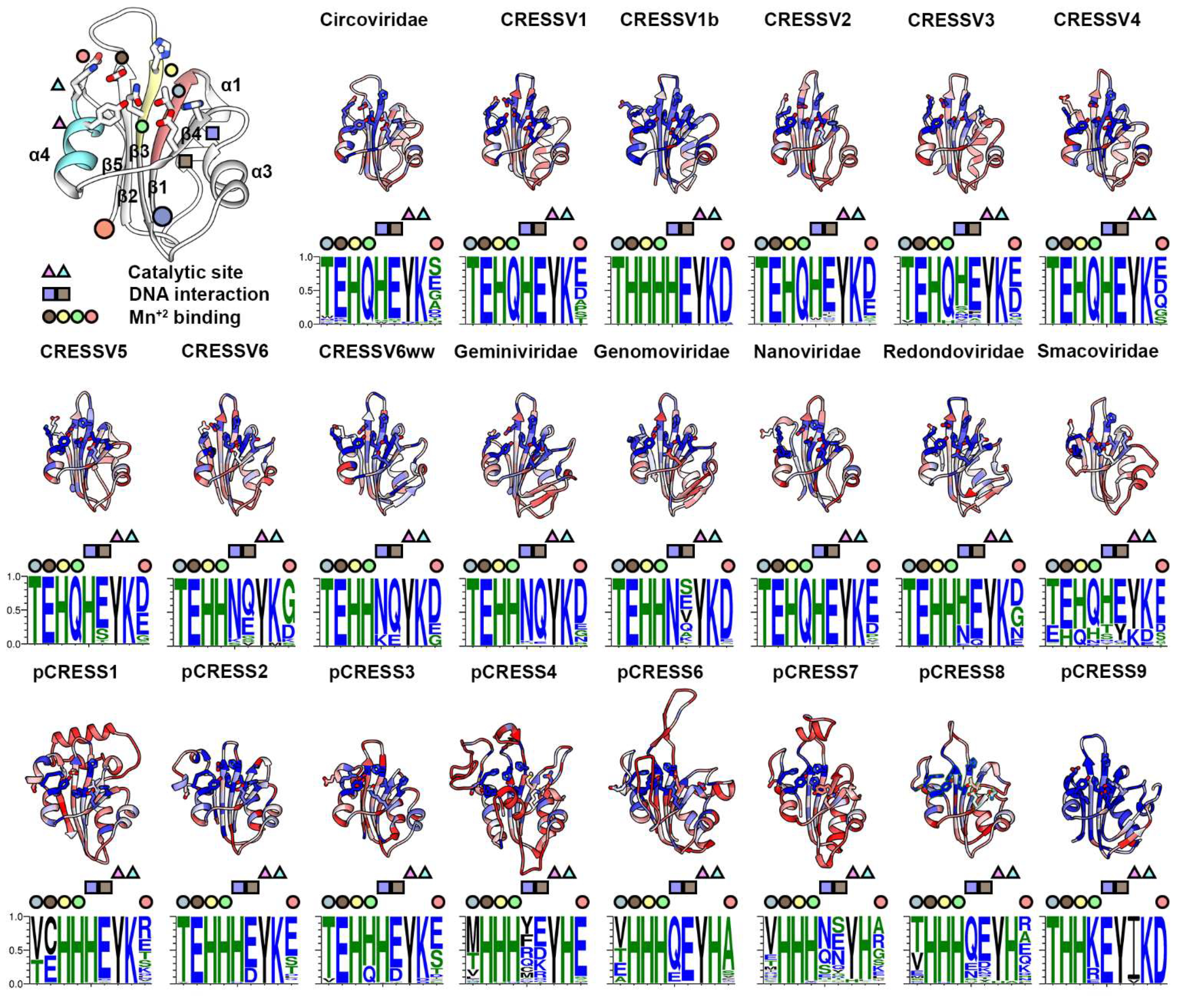 Viruses 14 00037 g002