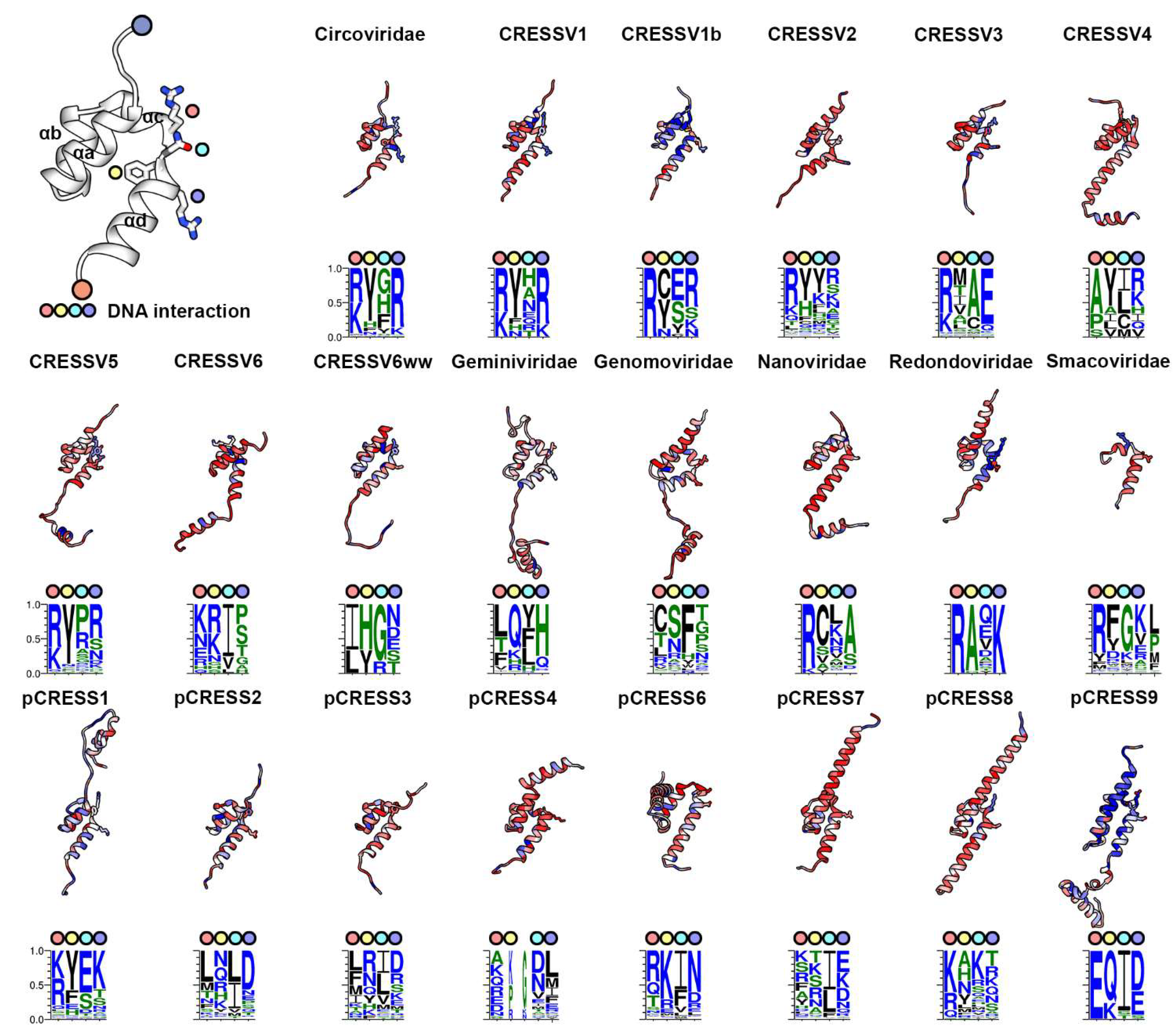 Viruses 14 00037 g003