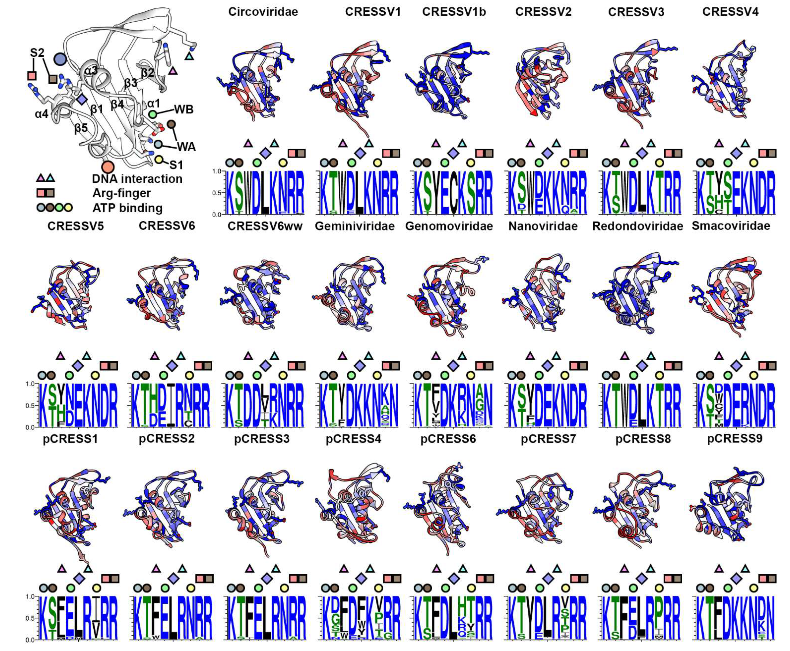 Viruses 14 00037 g004