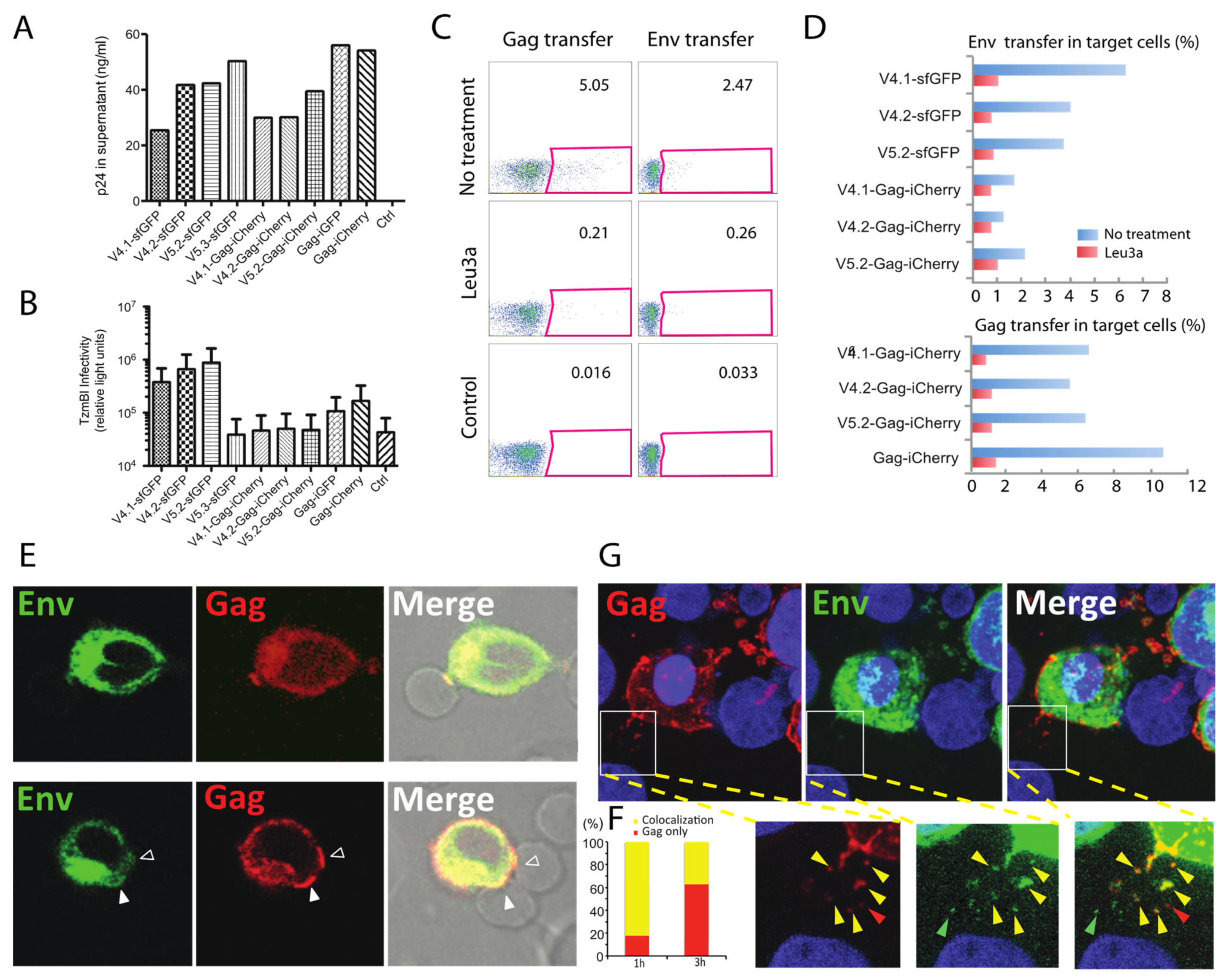Viruses 14 00038 g003