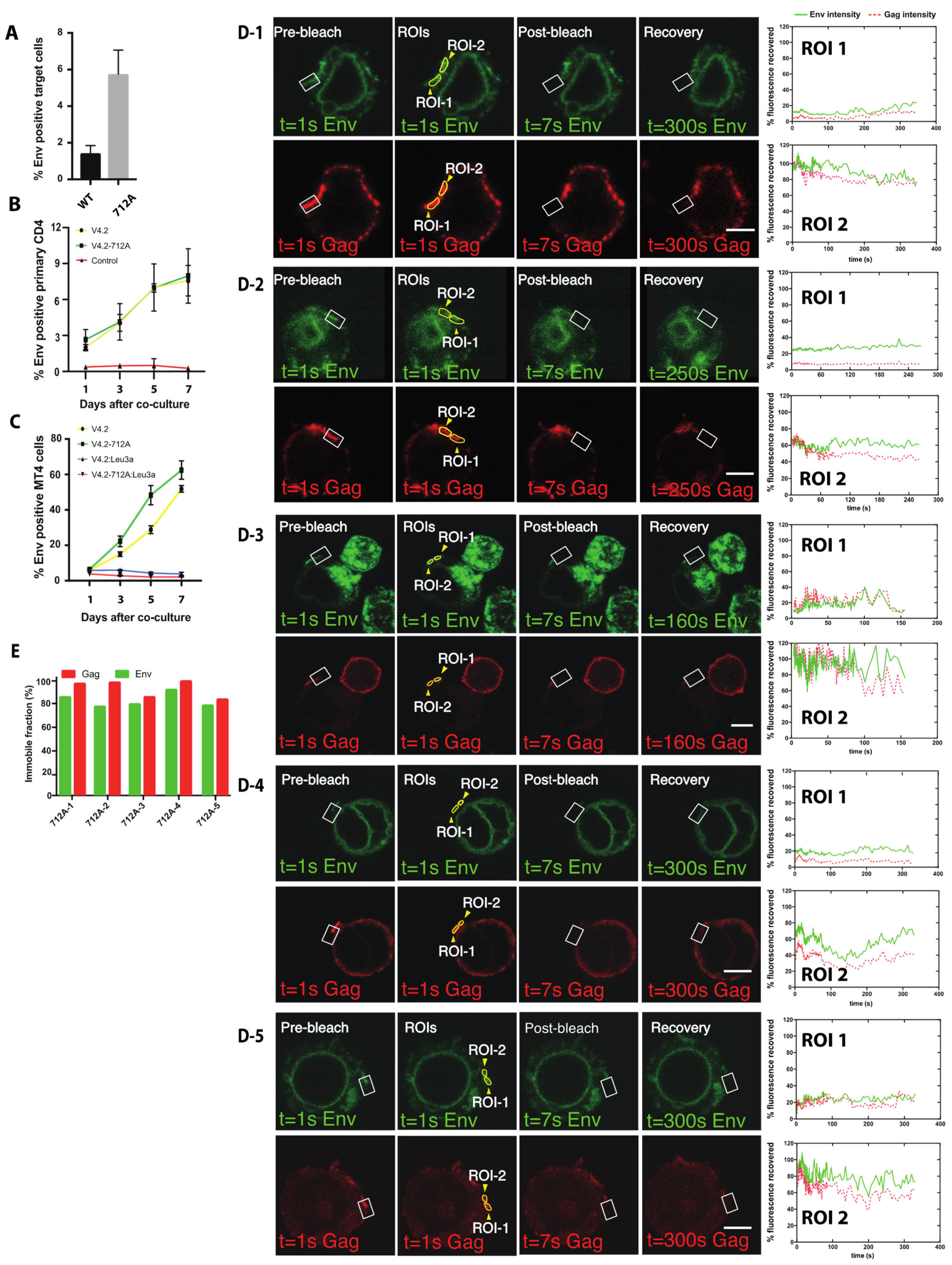 Viruses 14 00038 g006