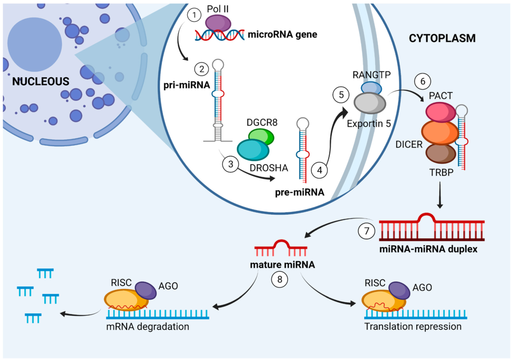 Viruses 14 00041 g002