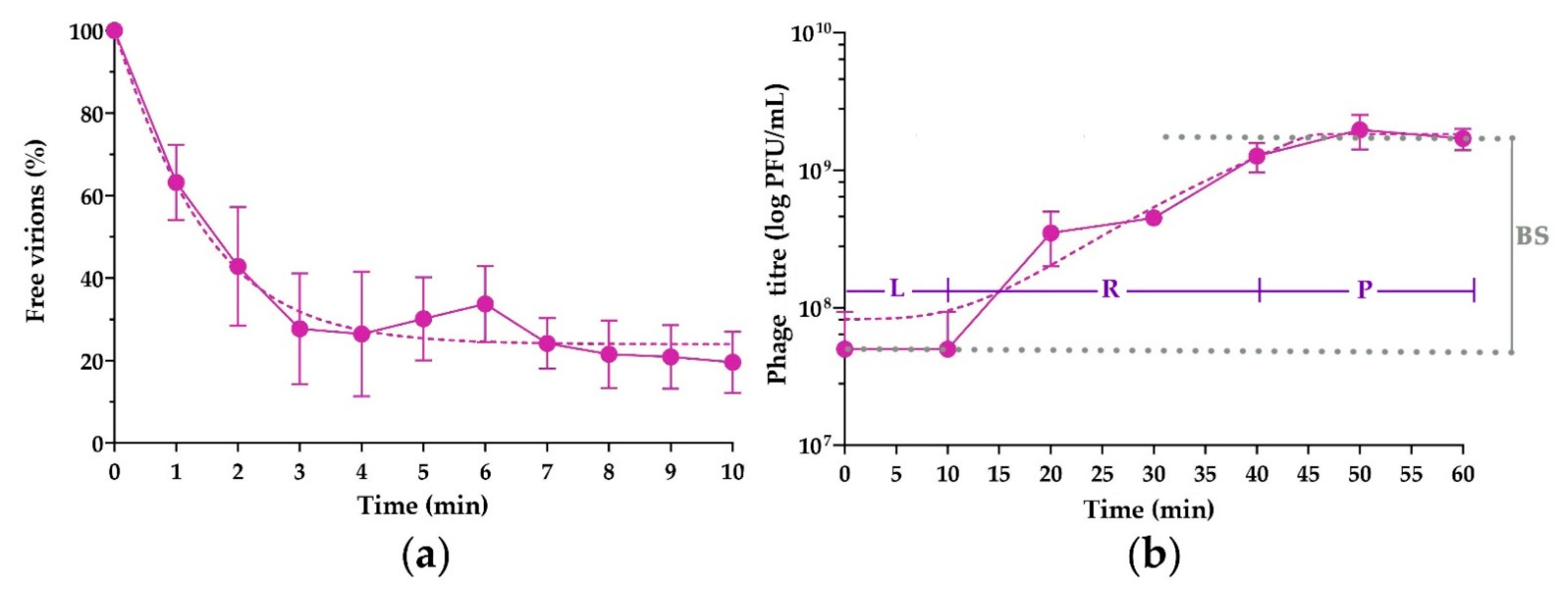 Viruses 14 00042 g005