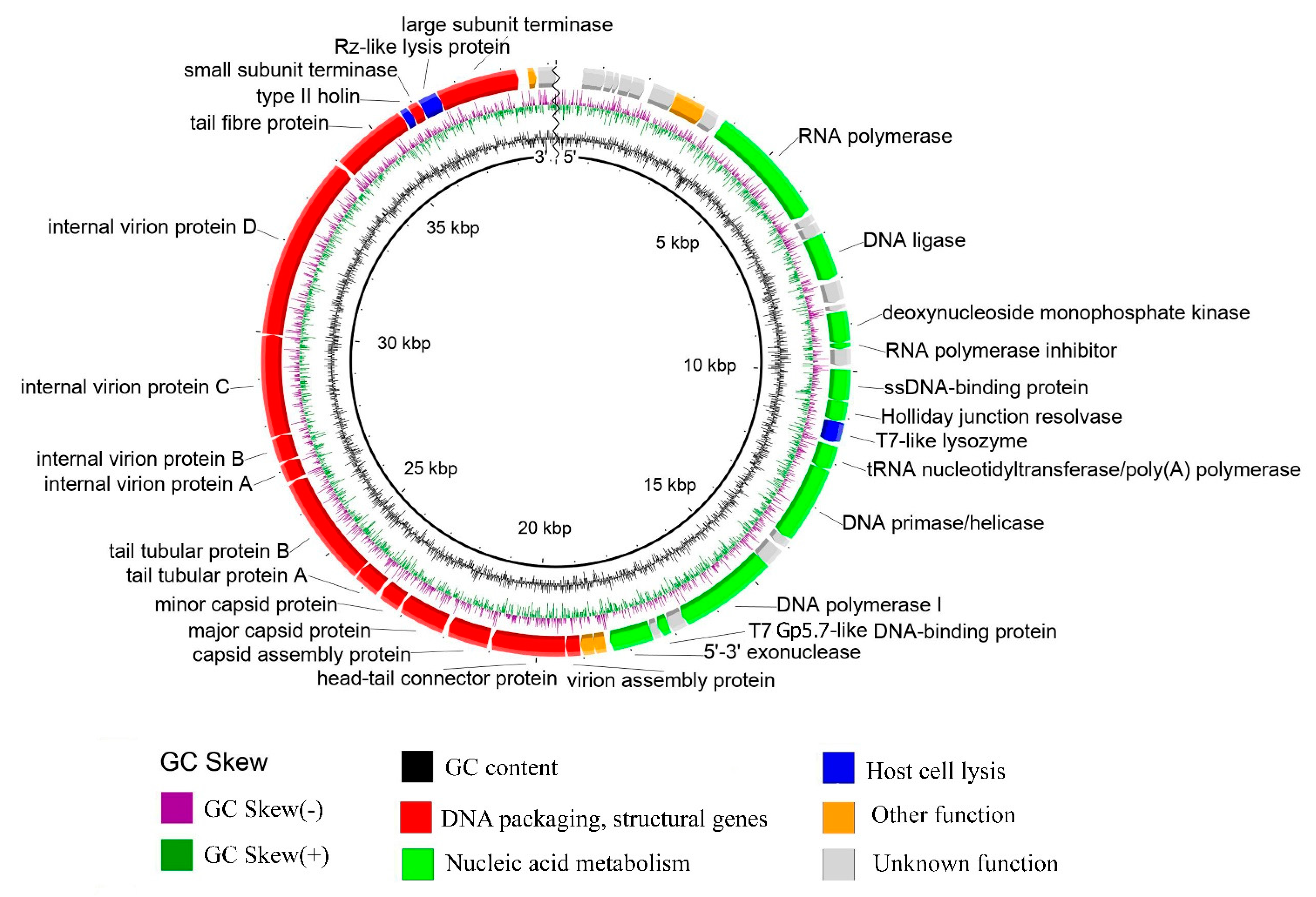 Viruses 14 00042 g006