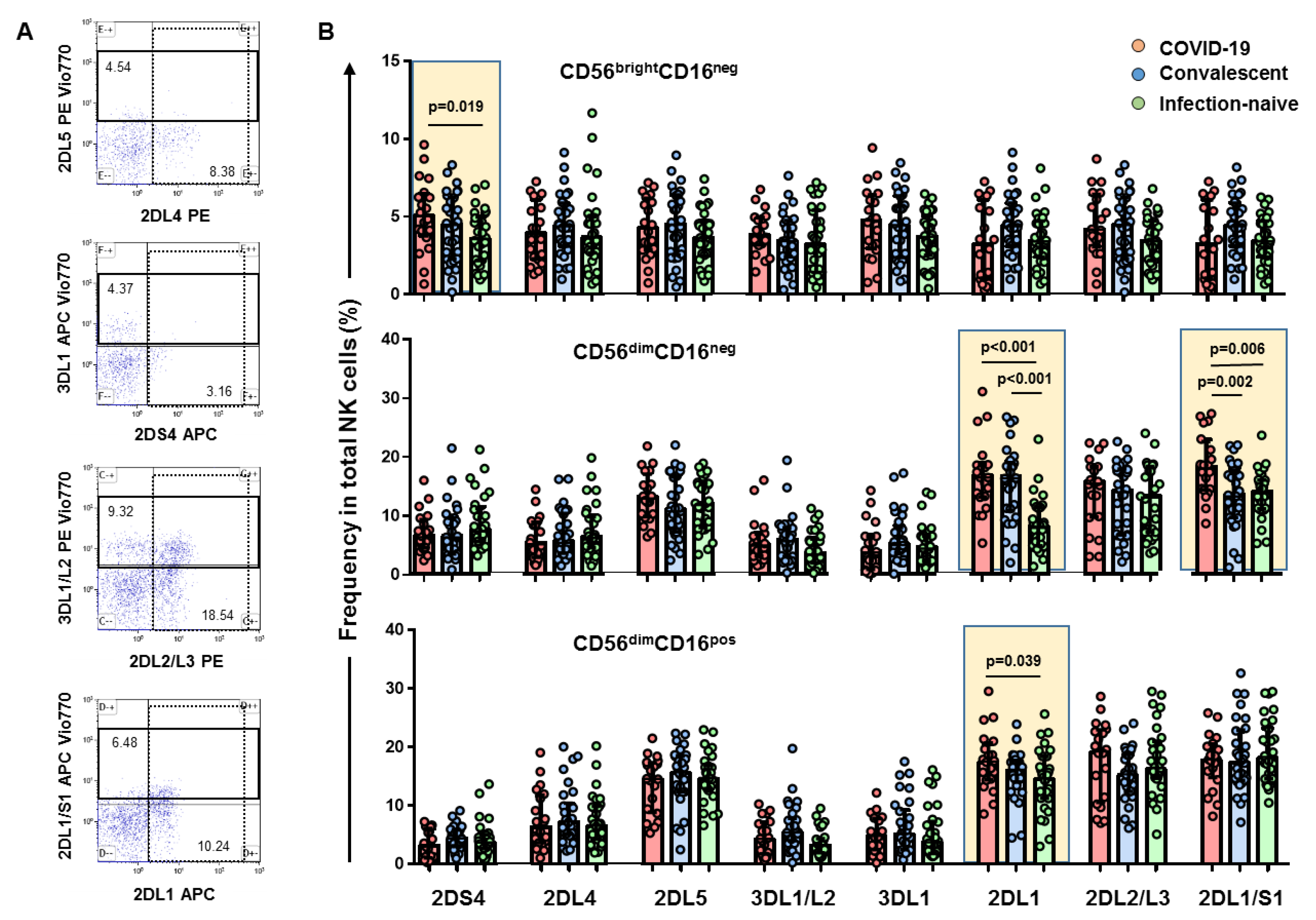 Viruses 14 00046 g002 550