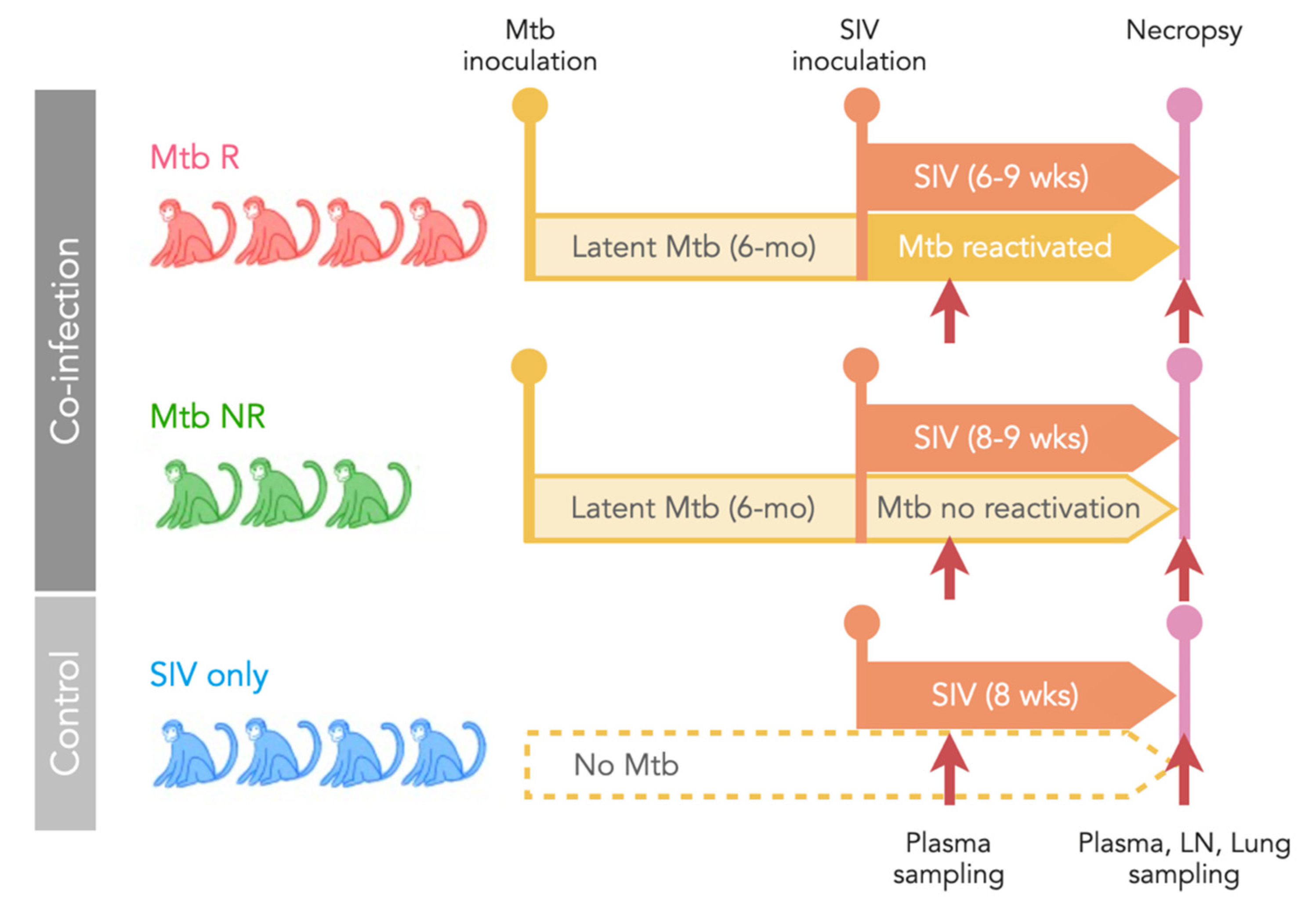 Viruses 14 00048 g001