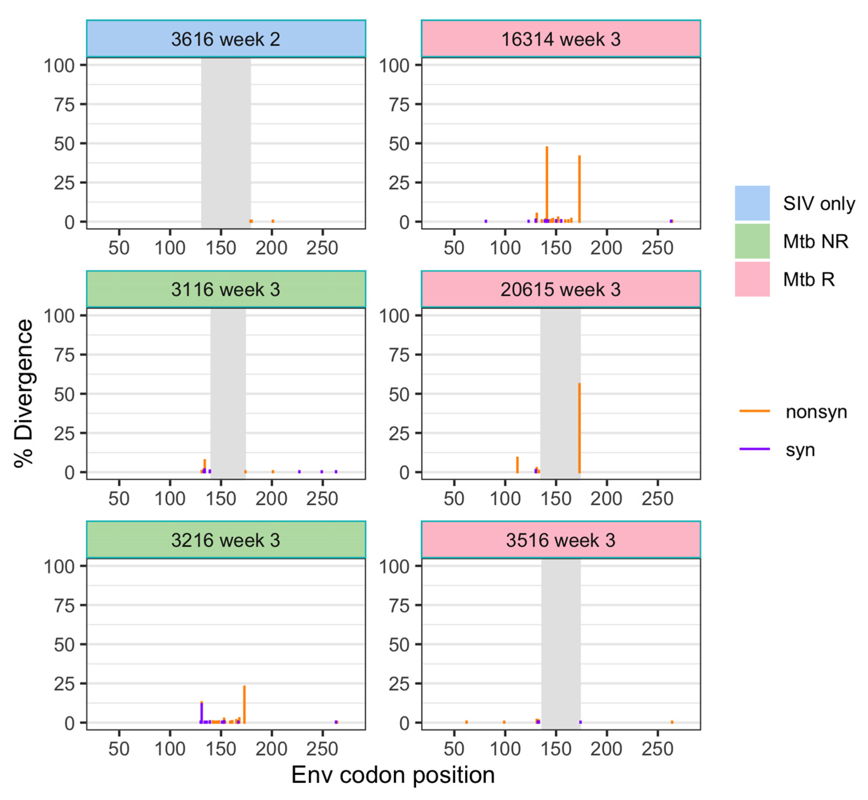 Viruses 14 00048 g003