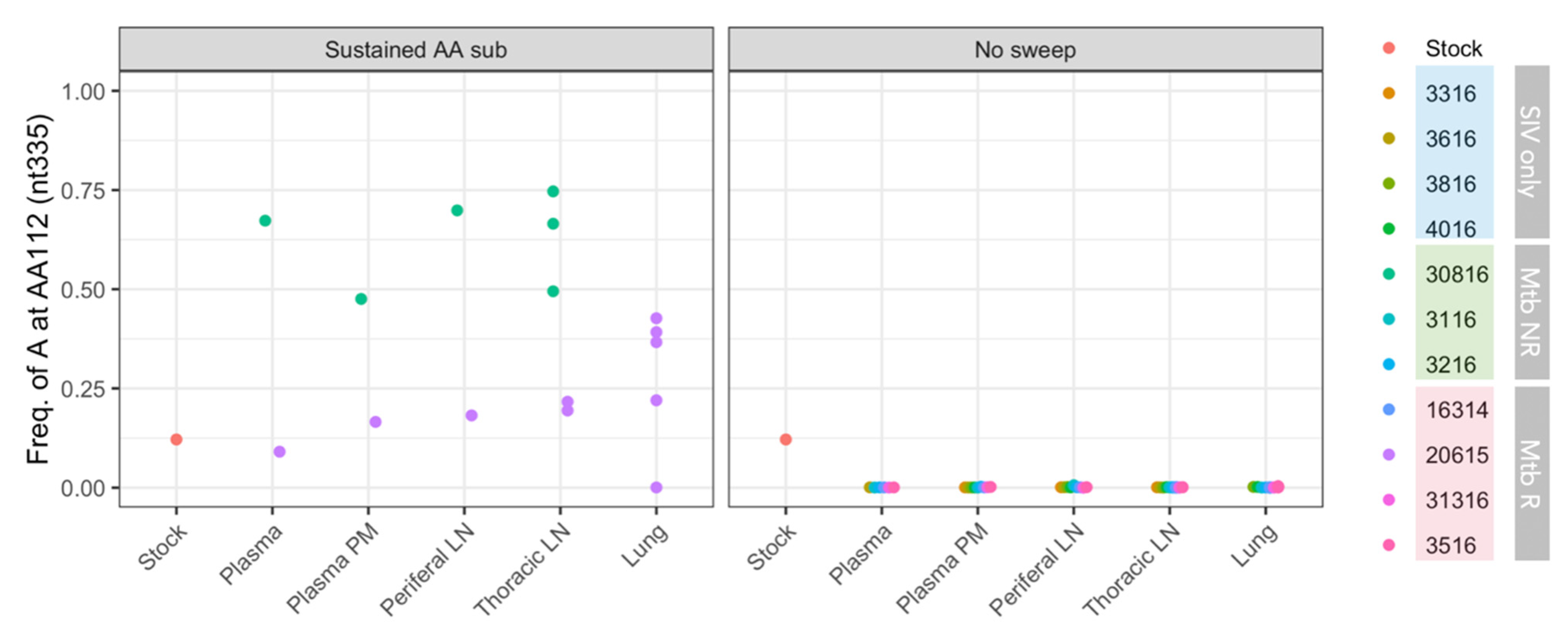 Viruses 14 00048 g008