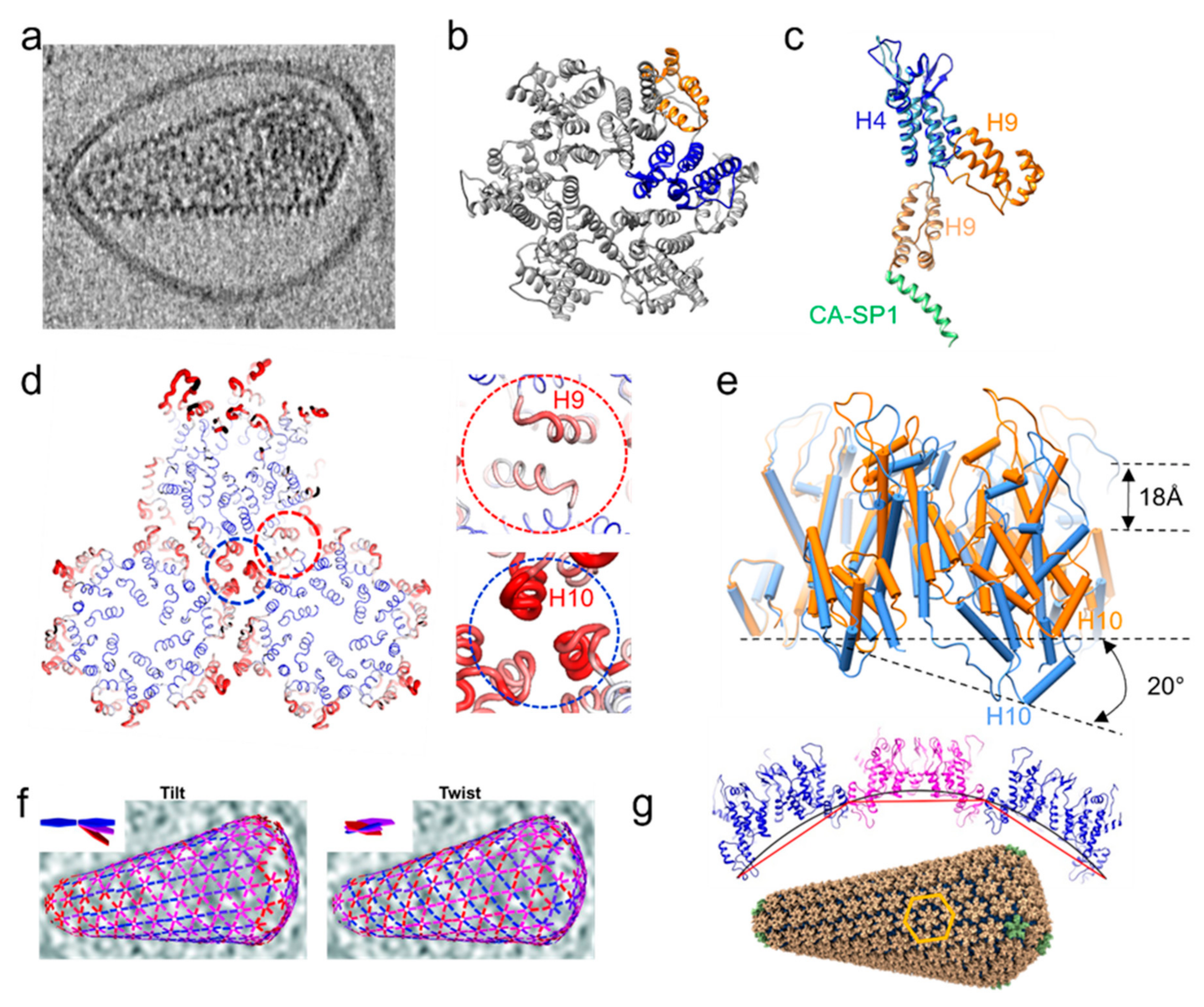 Viruses 14 00054 g002