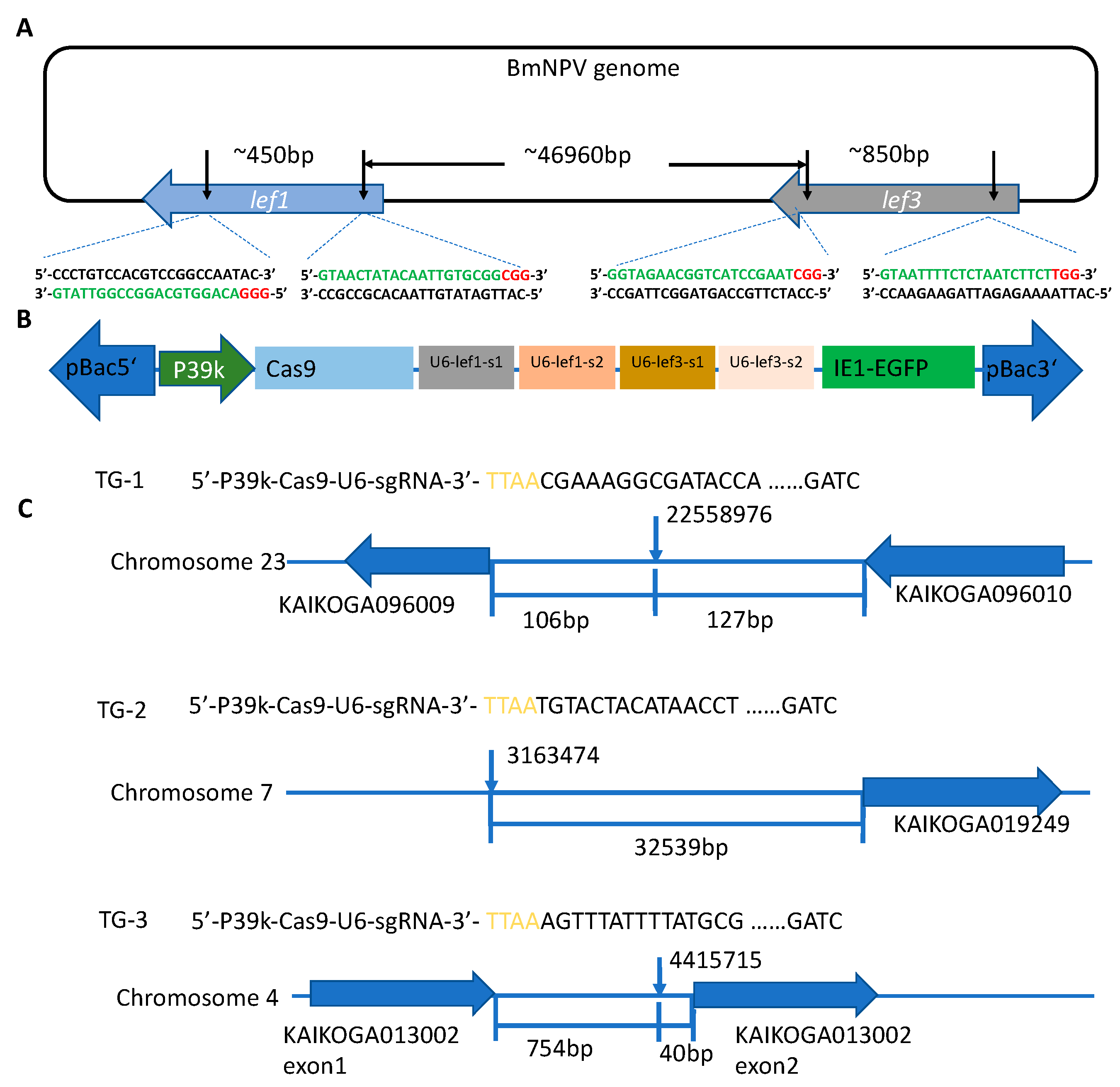 Viruses 14 00059 g001 Viruses 14 00059 g001