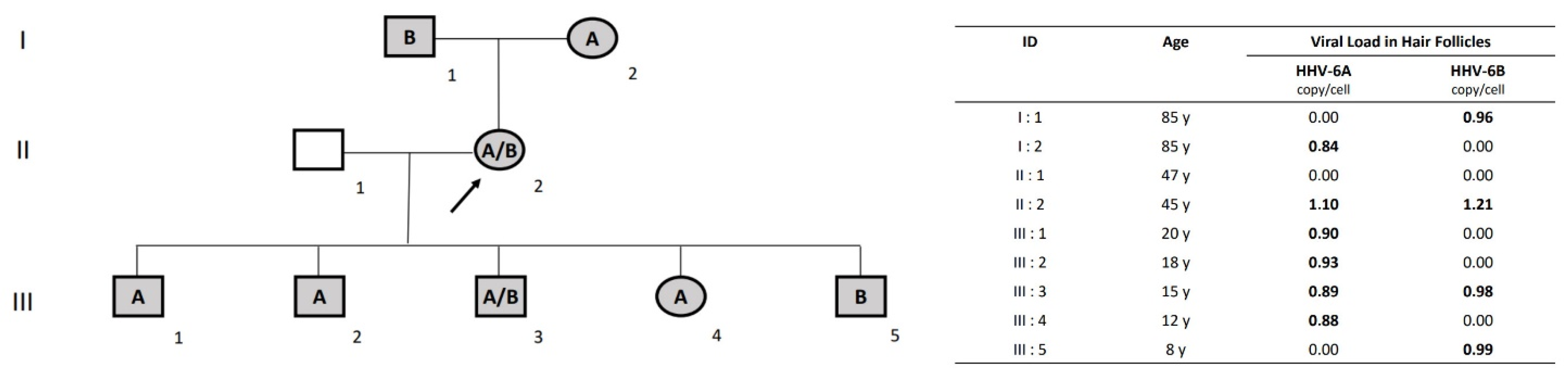 Viruses 14 00062 g002 550