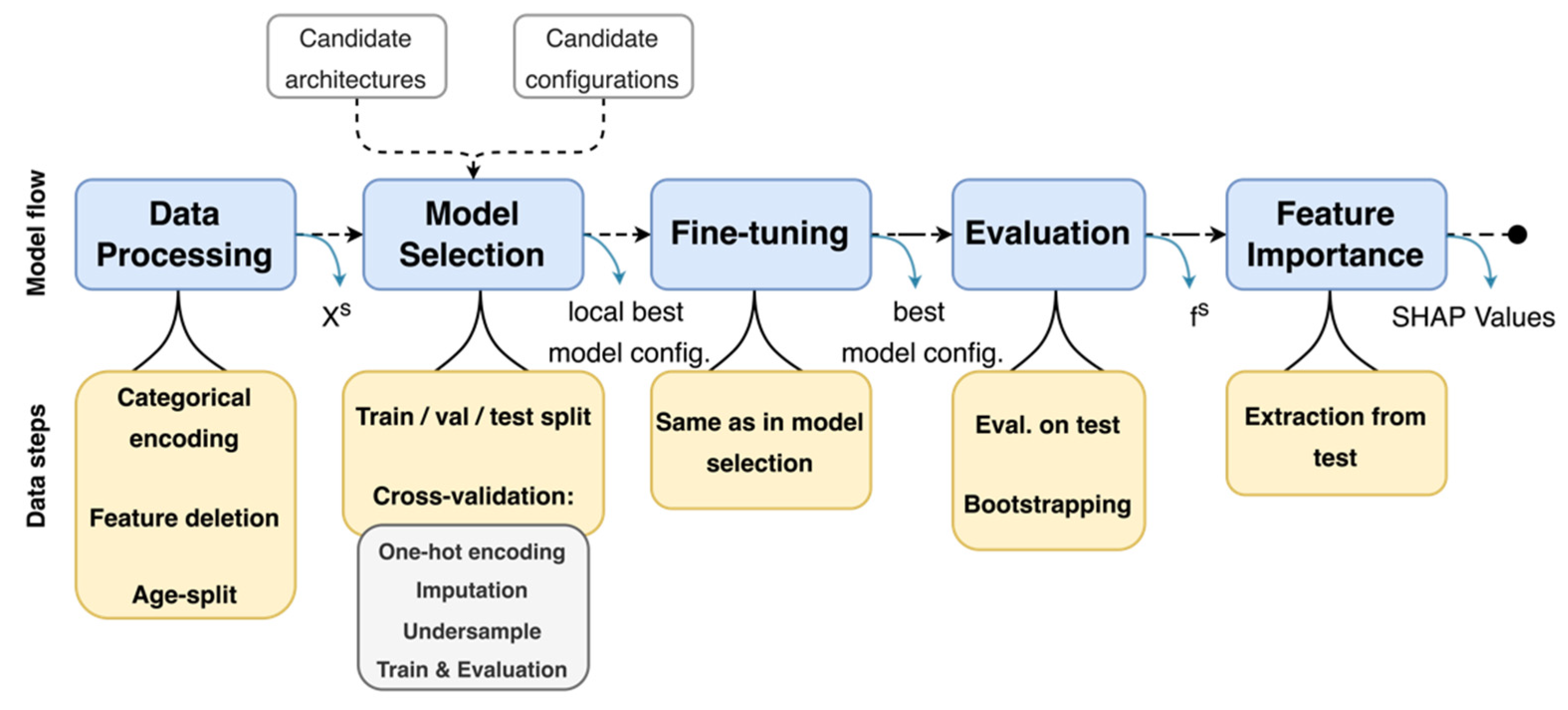 Viruses 14 00063 g001