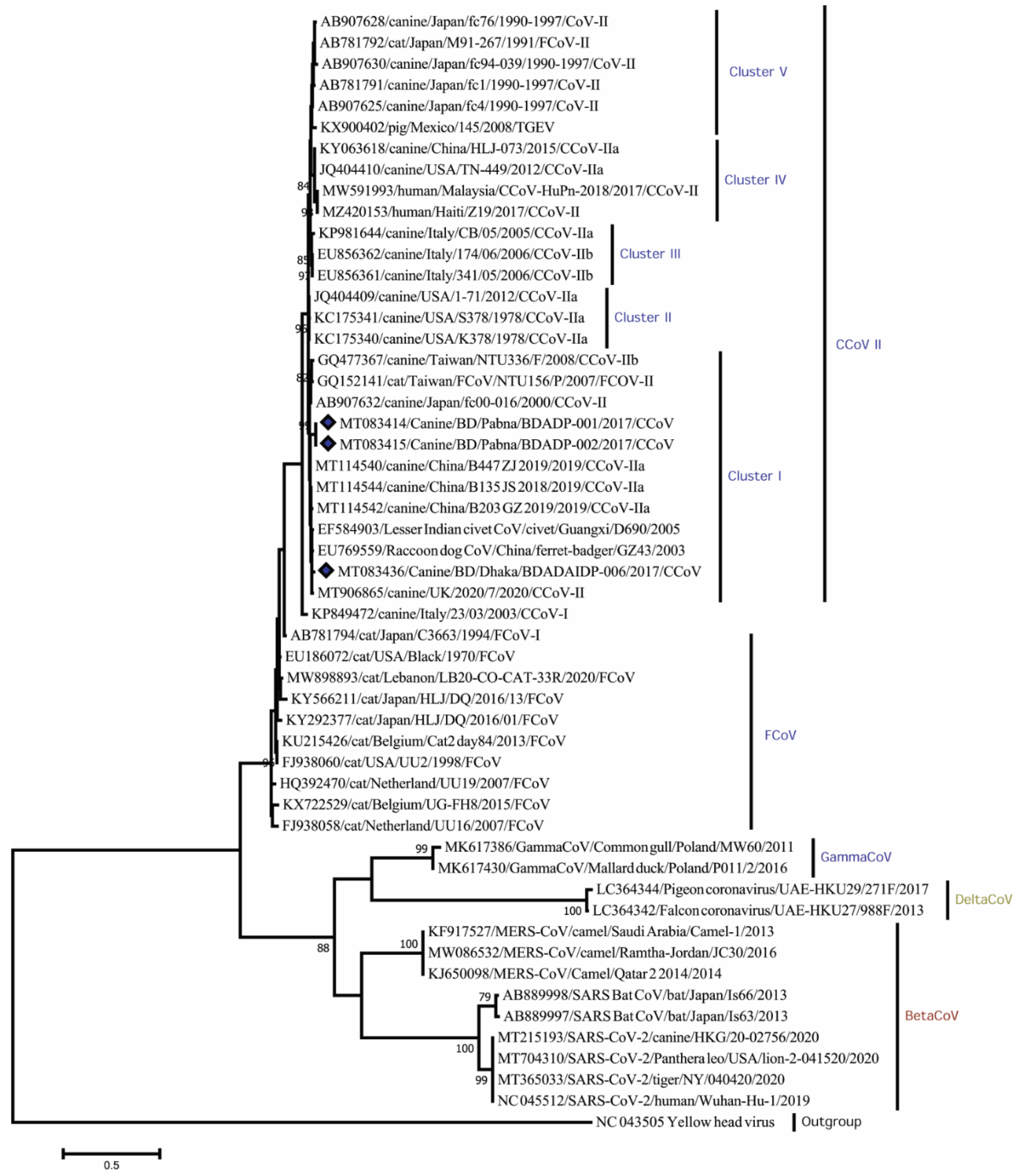 Viruses 14 00067 g002 Viruses 14 00067 g002